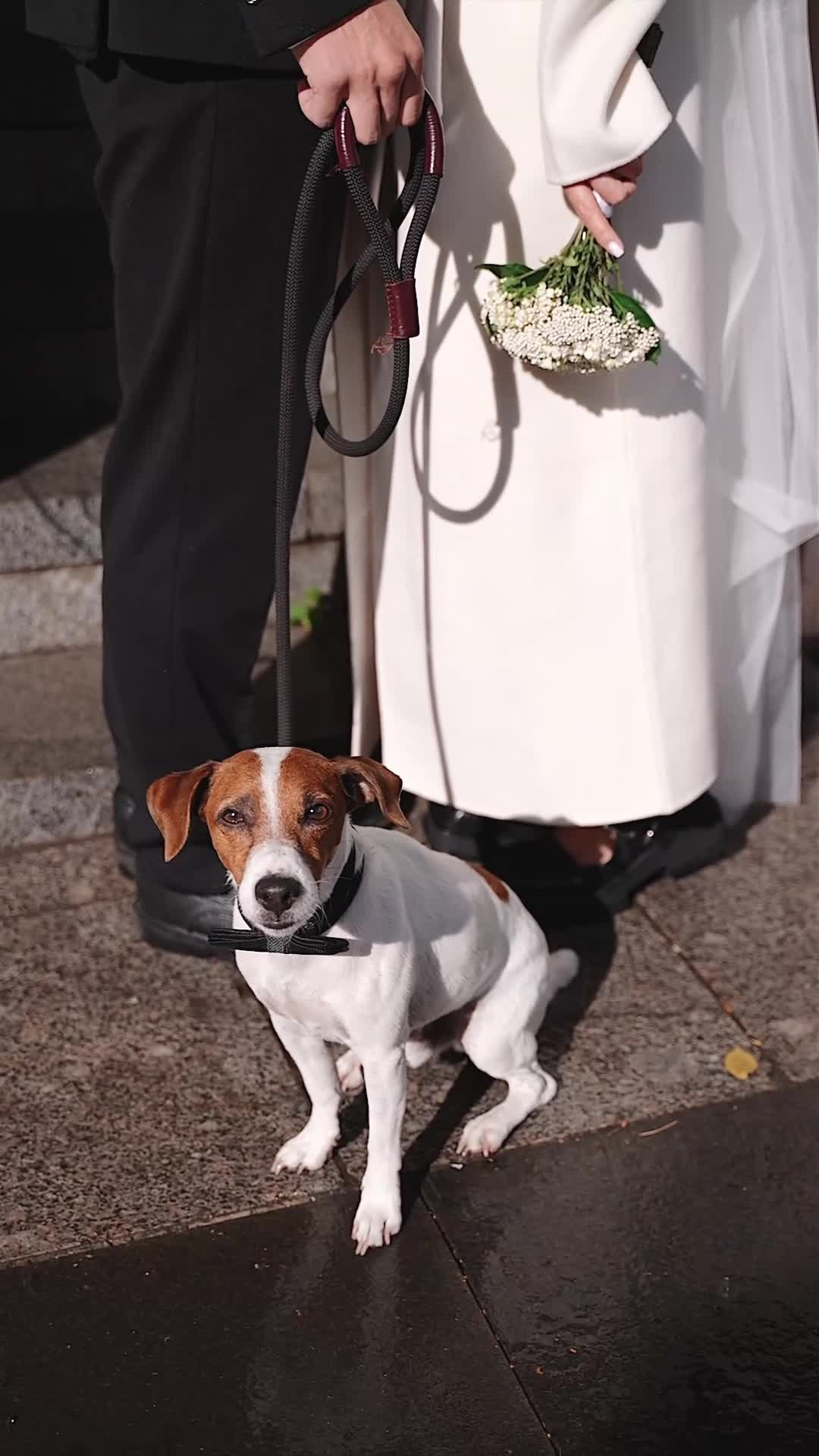 Свадебный видеограф в Москве — видеосъёмка свадьбы | Цены и примеры. Фото и видео производство для клиентов под различные задачи