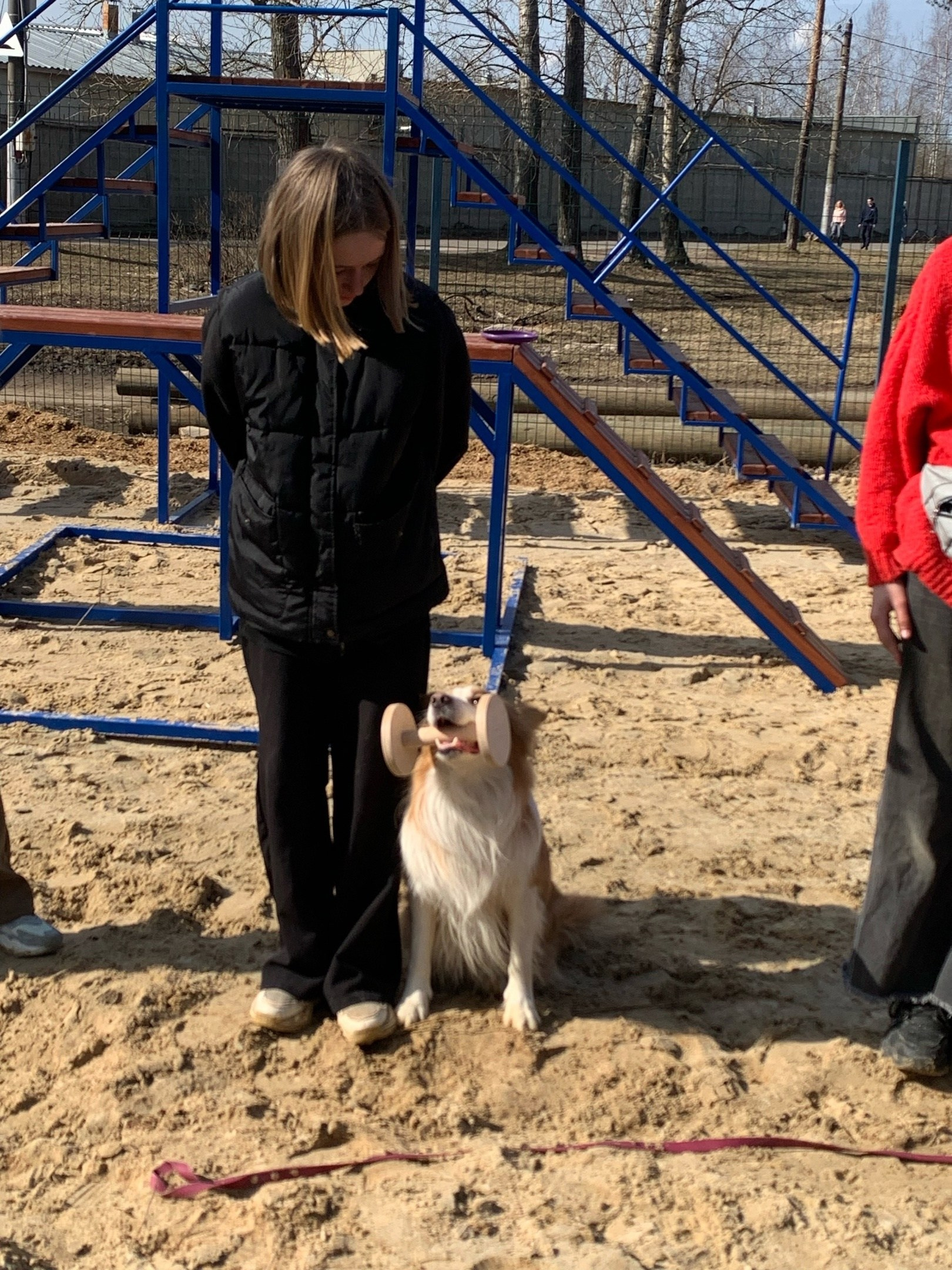 Практические занятия по дрессировке. НРОО КЦ "Собаковод"