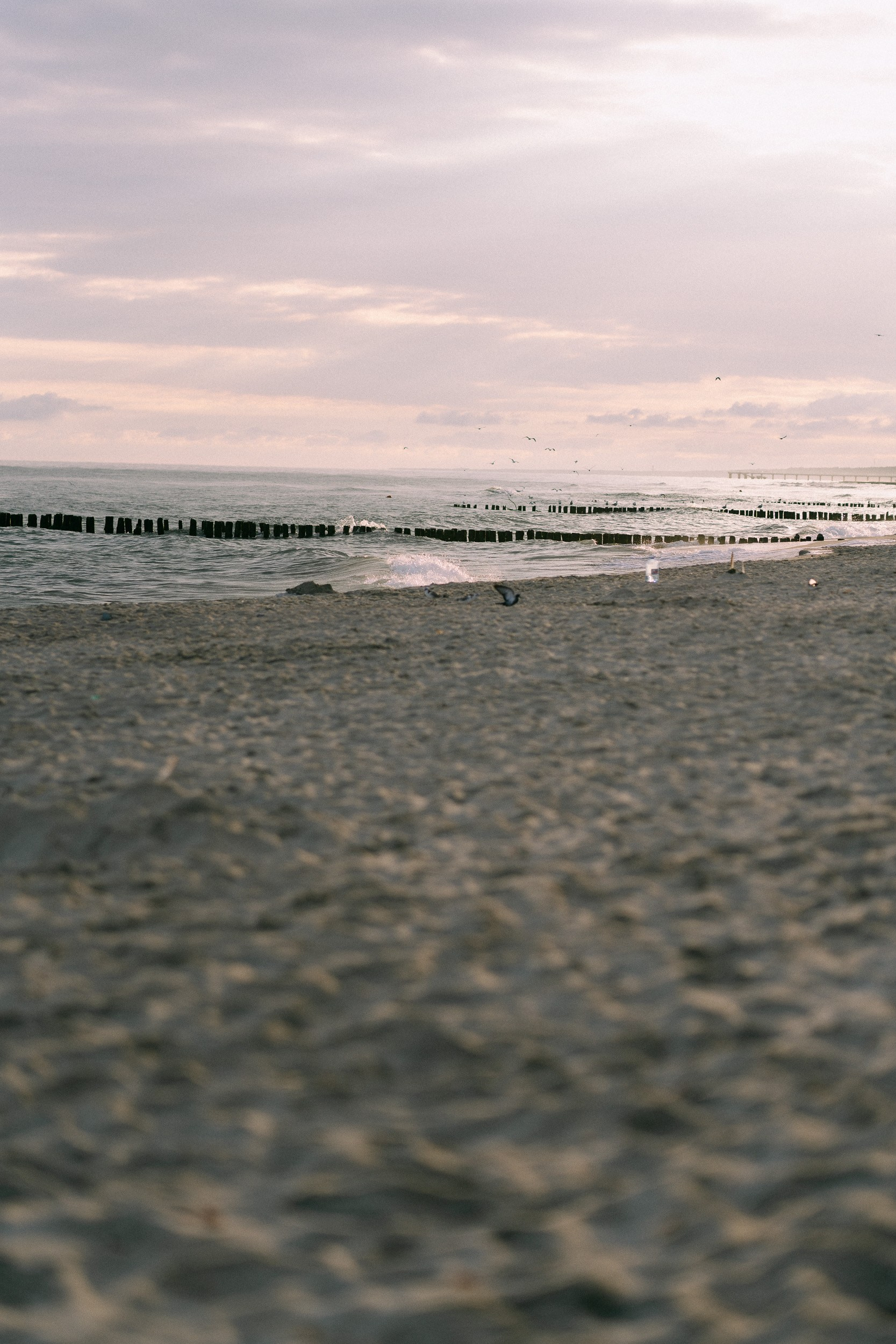 Дмитрий Жариков фотограф в Калининграде