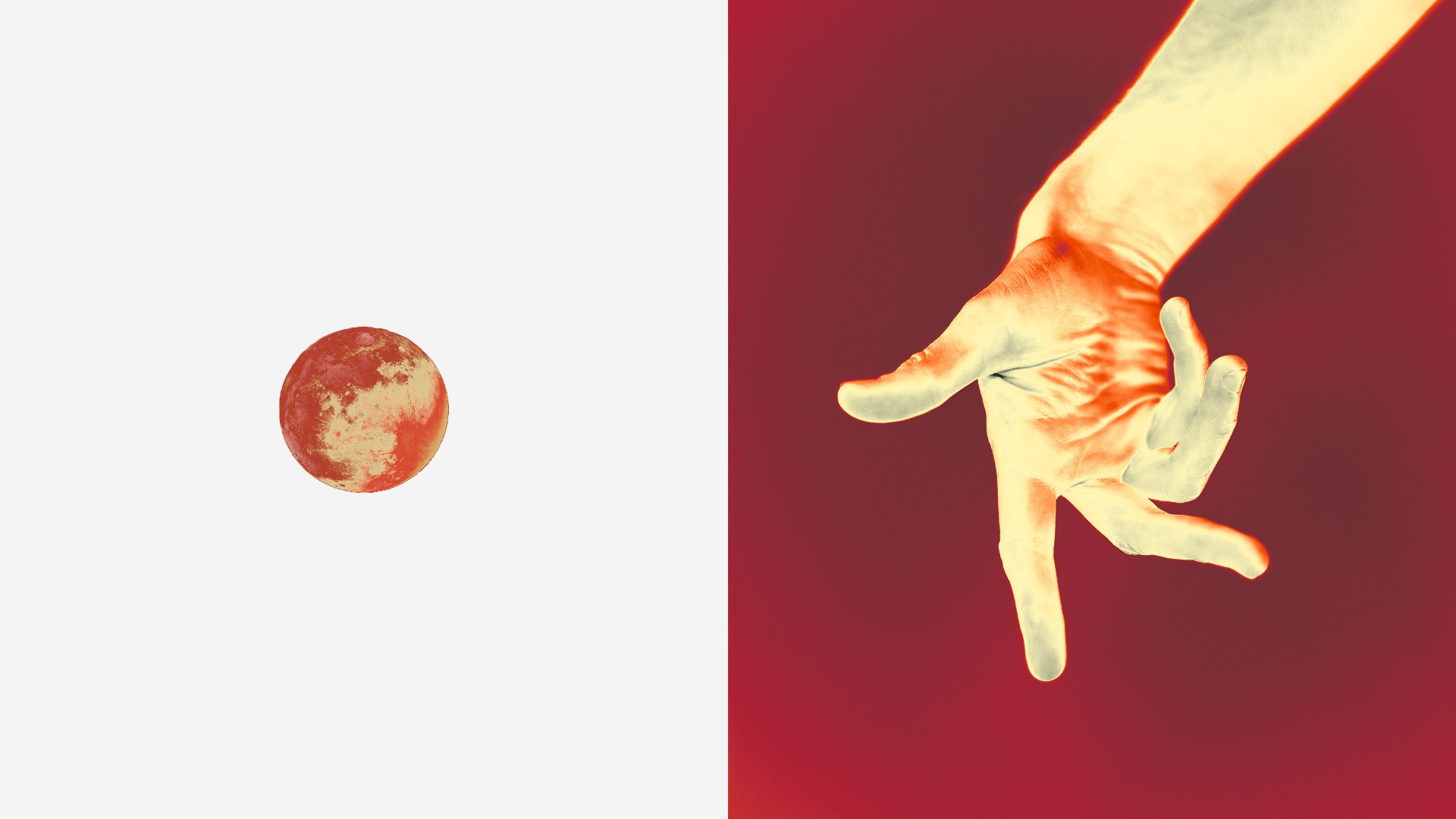 PLANET SIGNS. KSENIYA YATC