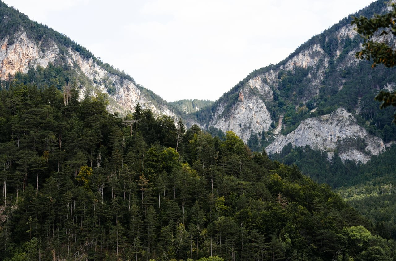 LEA | DAN. Свадебный видеограф в Санкт-Петербурге Ульяна Радиковская
