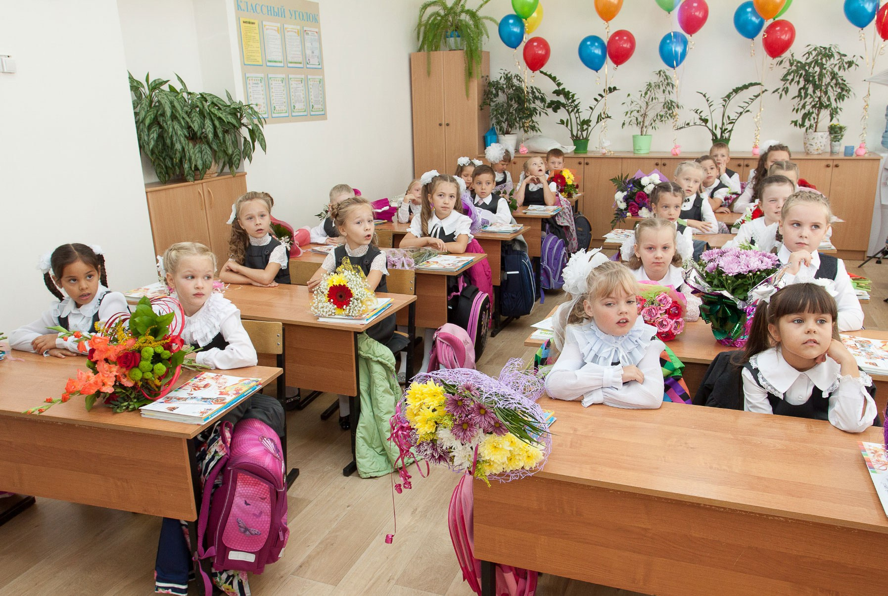 Фотограф на 1 сентября в Вологде | Фотосессия первоклассников 2026