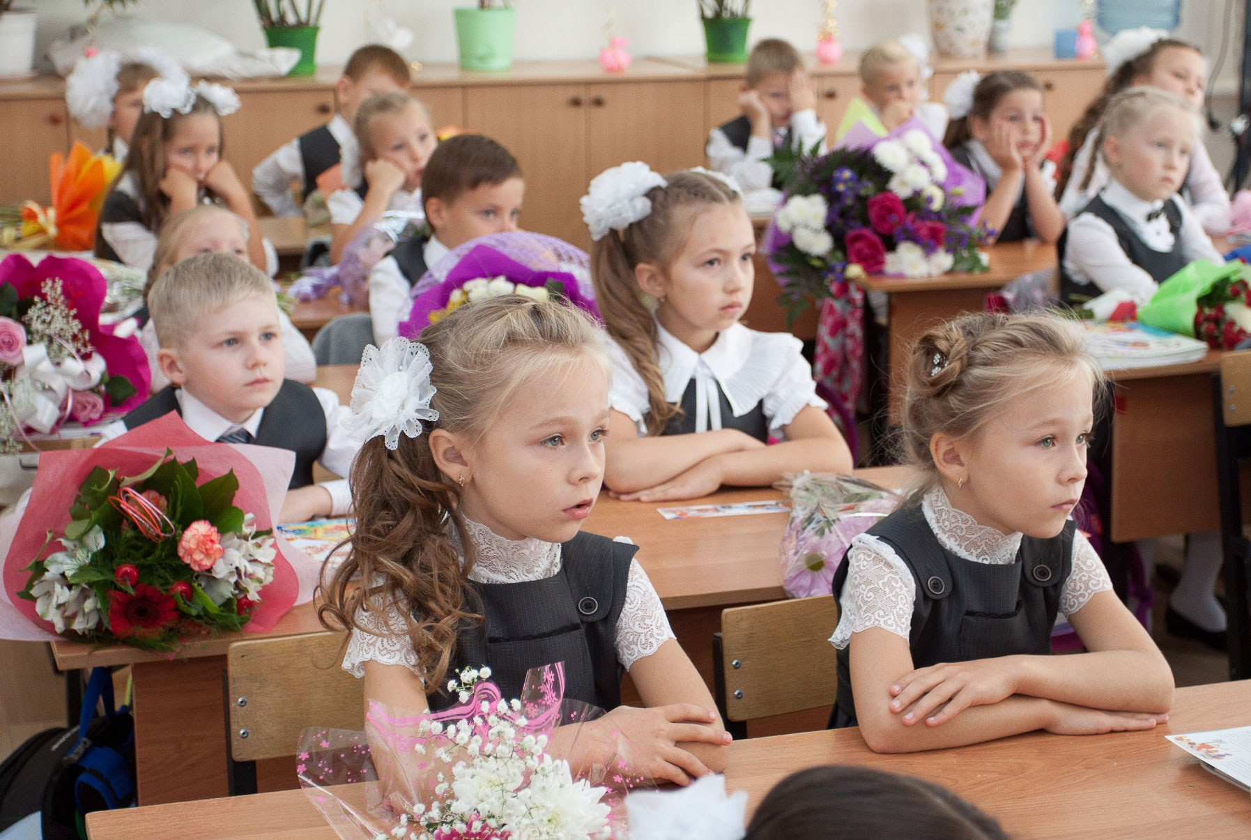Фотограф на 1 сентября в Вологде | Фотосессия первоклассников 2026