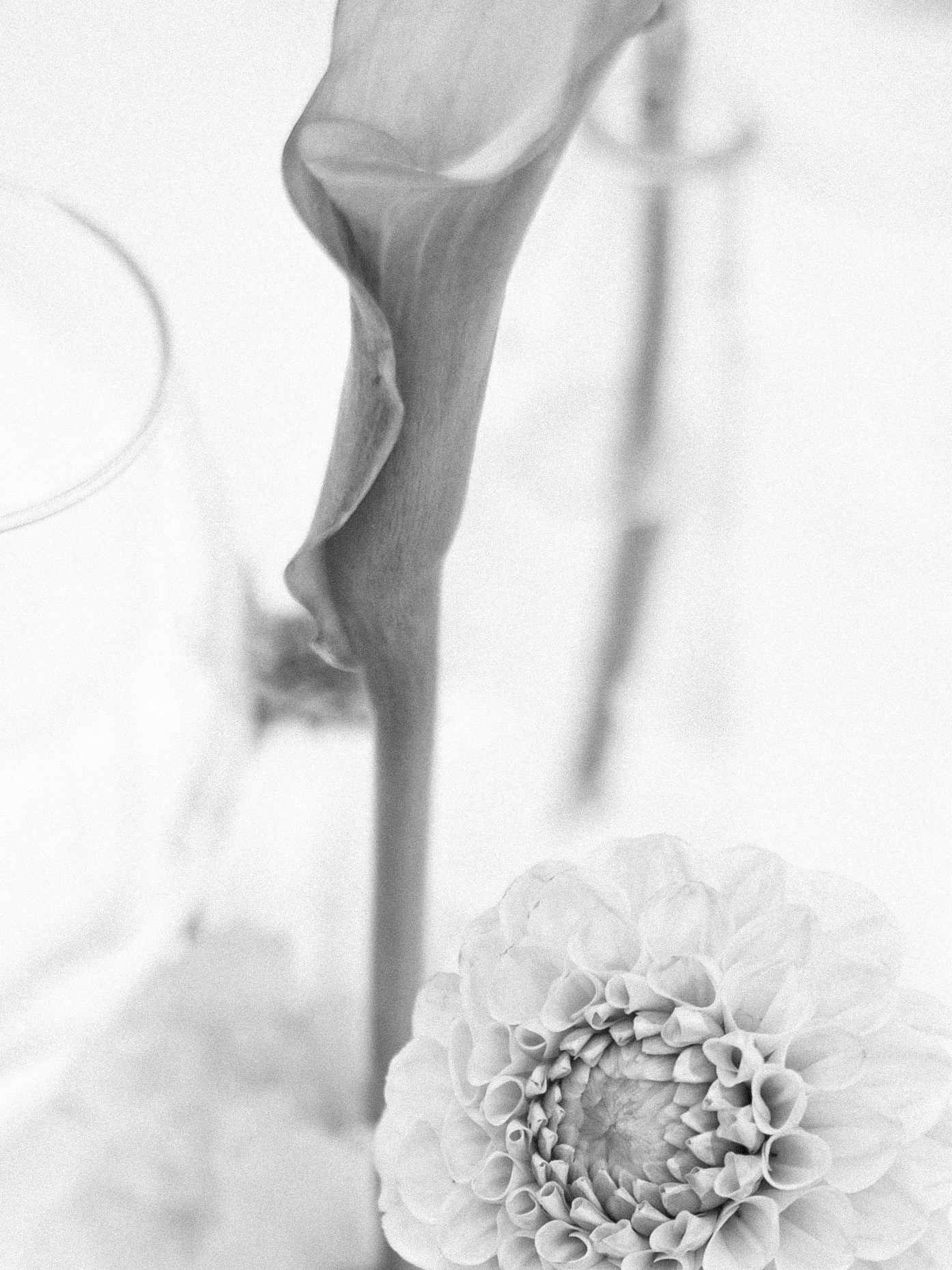 ОТЗЫВЫ. Свадебный фотограф Москва Ирина Писарева