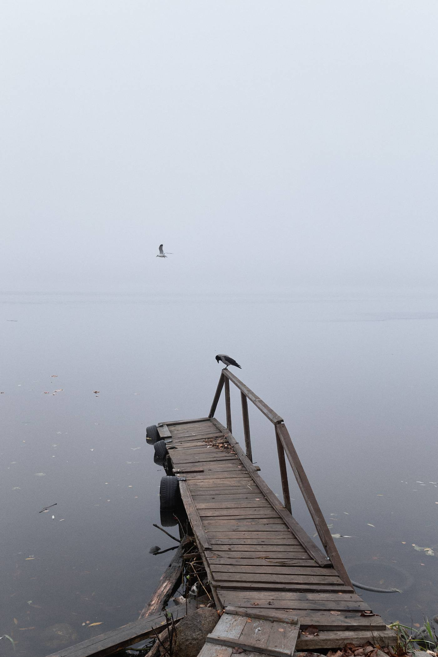 Окружение. Денис Паунин — Фотографии
