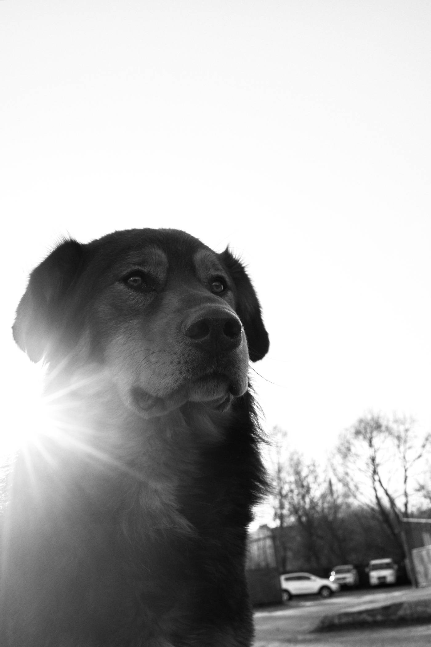 Окружение. Денис Паунин — Фотографии