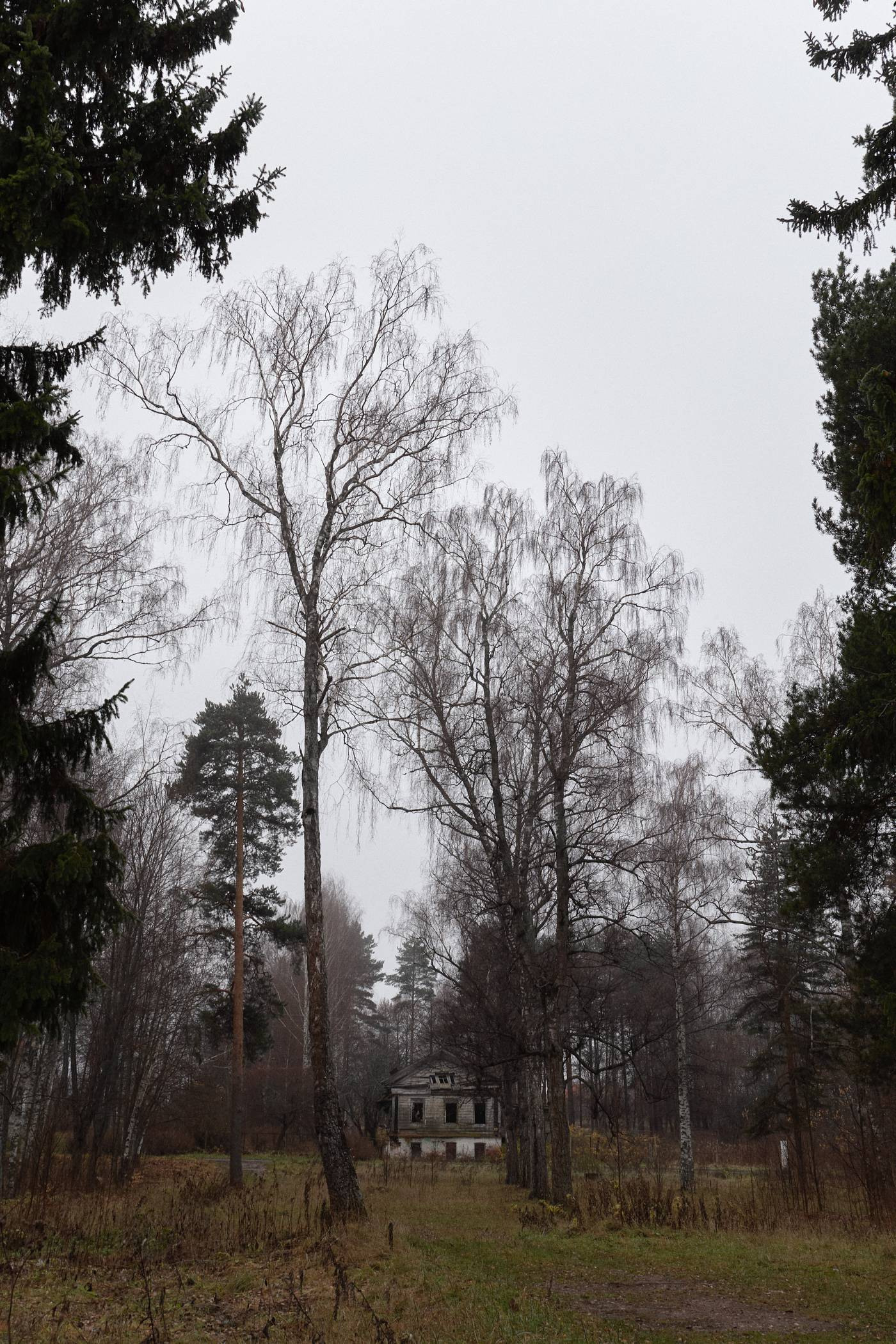 Окружение. Денис Паунин — Фотографии