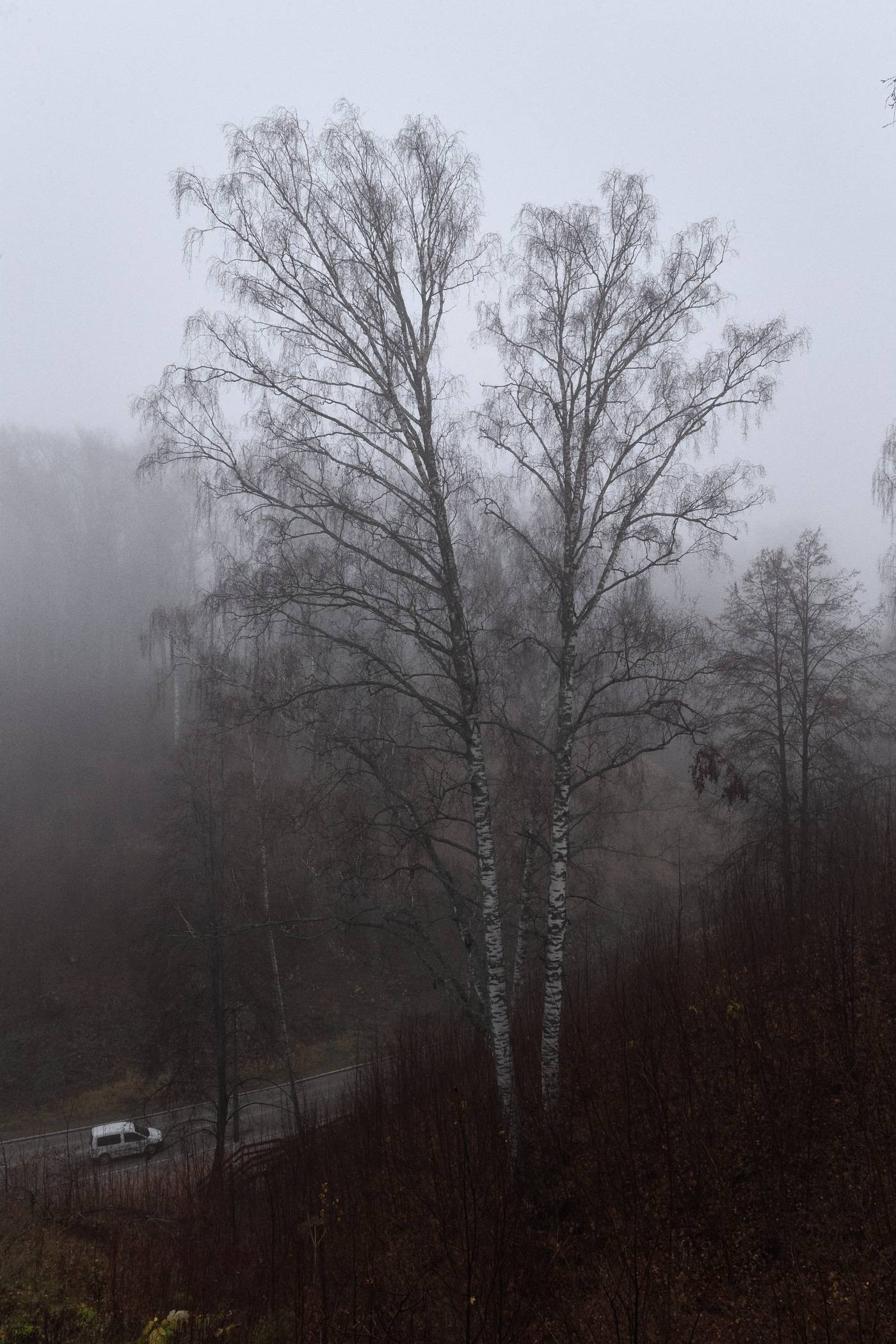 Окружение. Денис Паунин — Фотографии