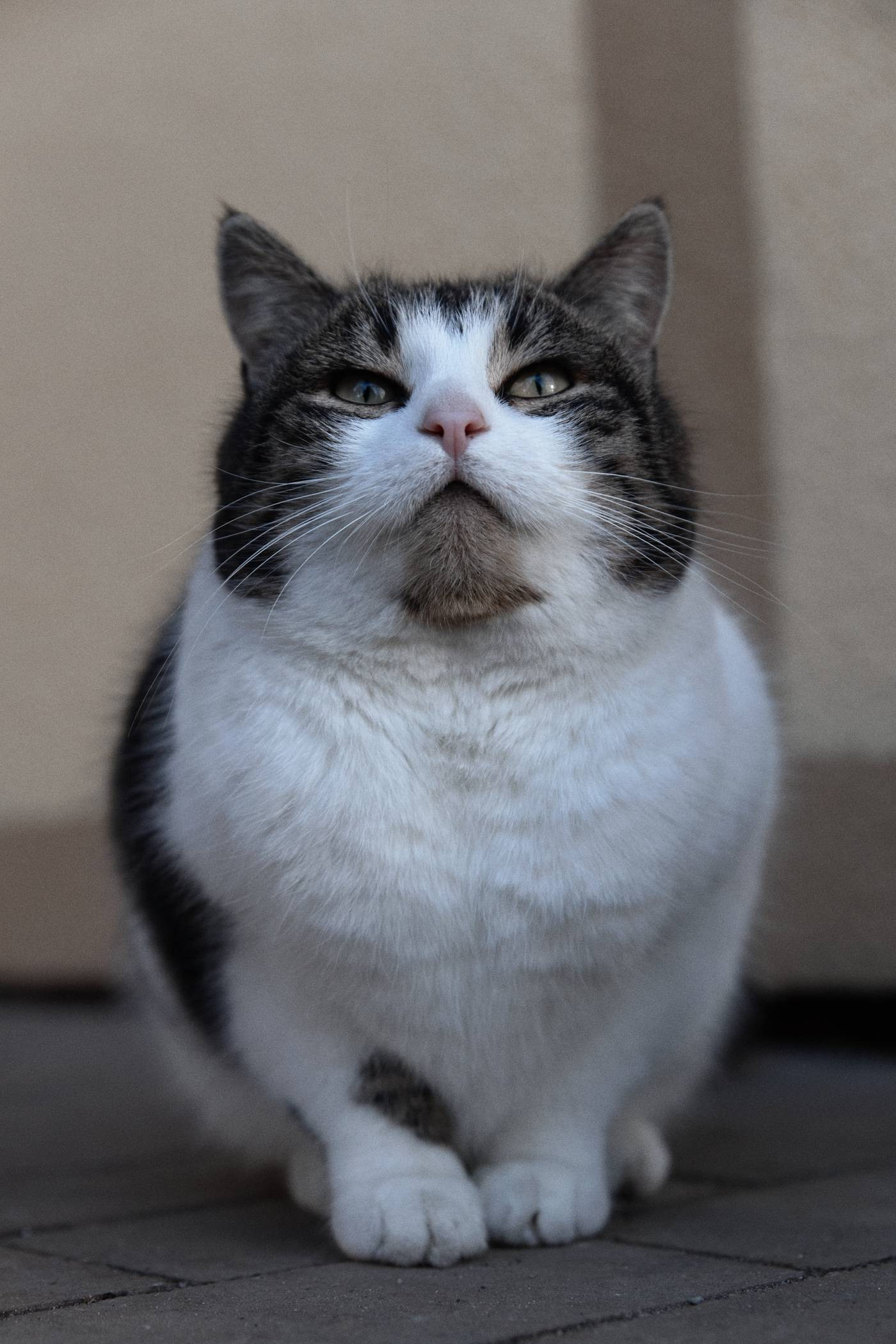 Окружение. Денис Паунин — Фотографии