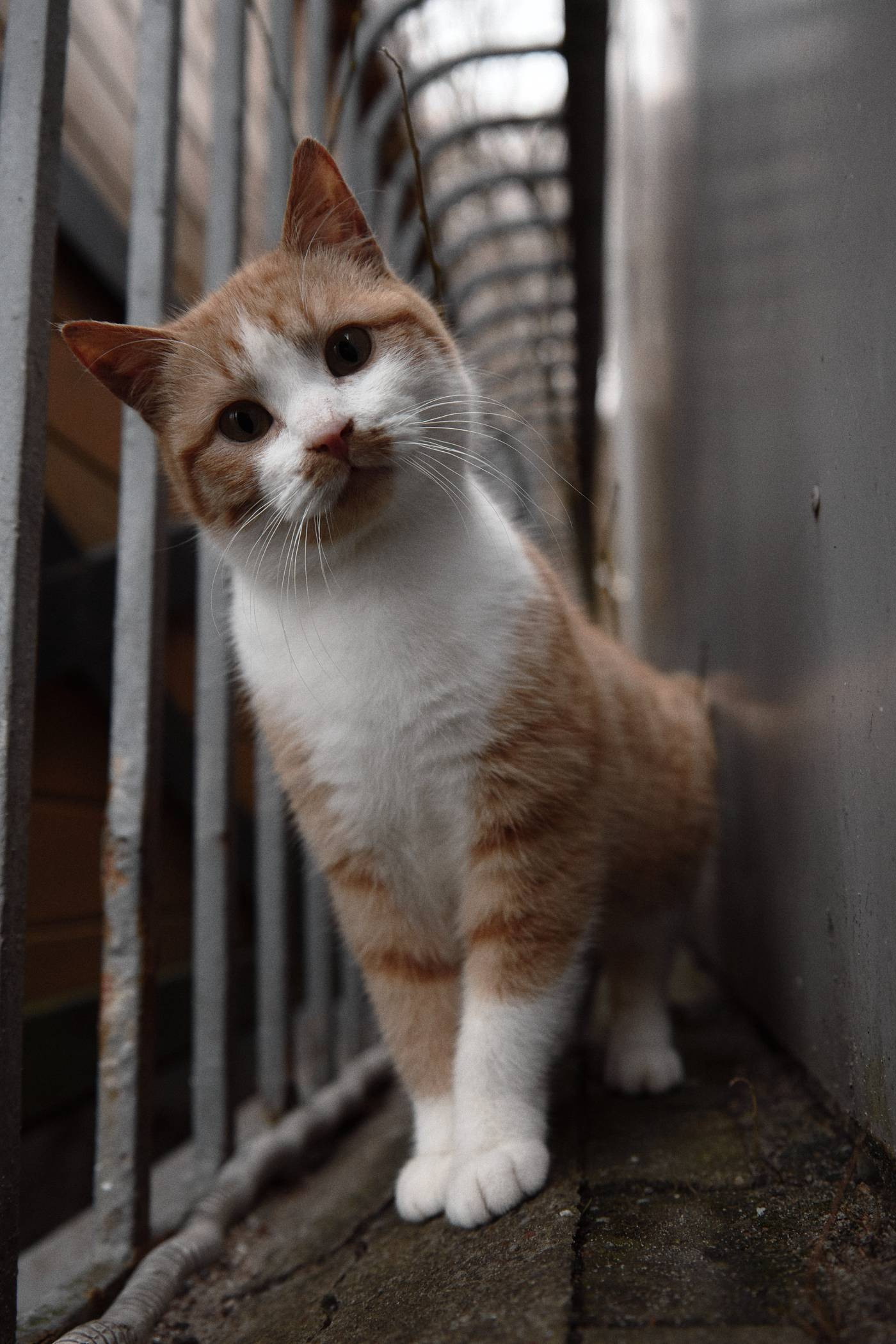 Окружение. Денис Паунин — Фотографии