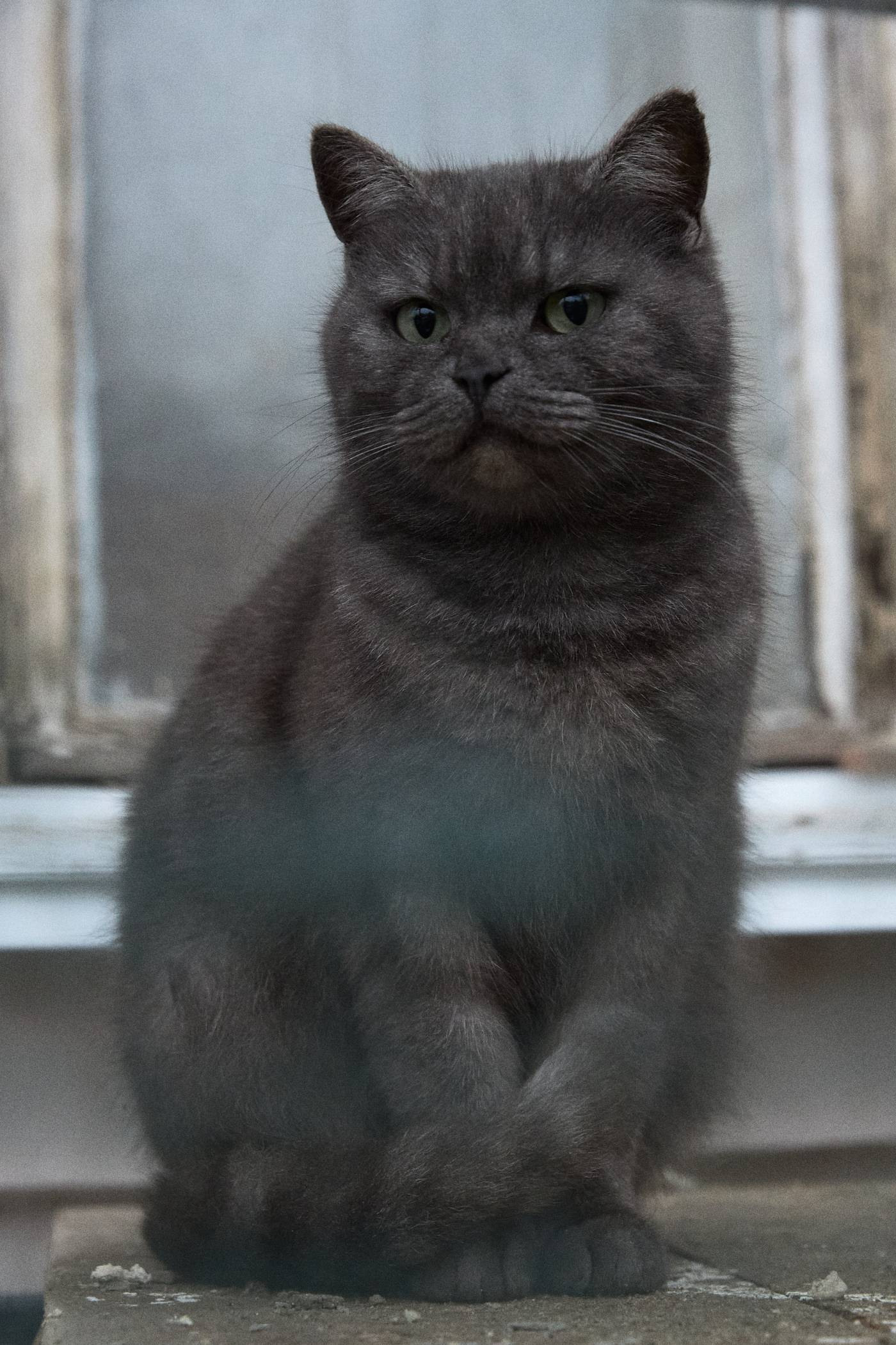 Окружение. Денис Паунин — Фотографии