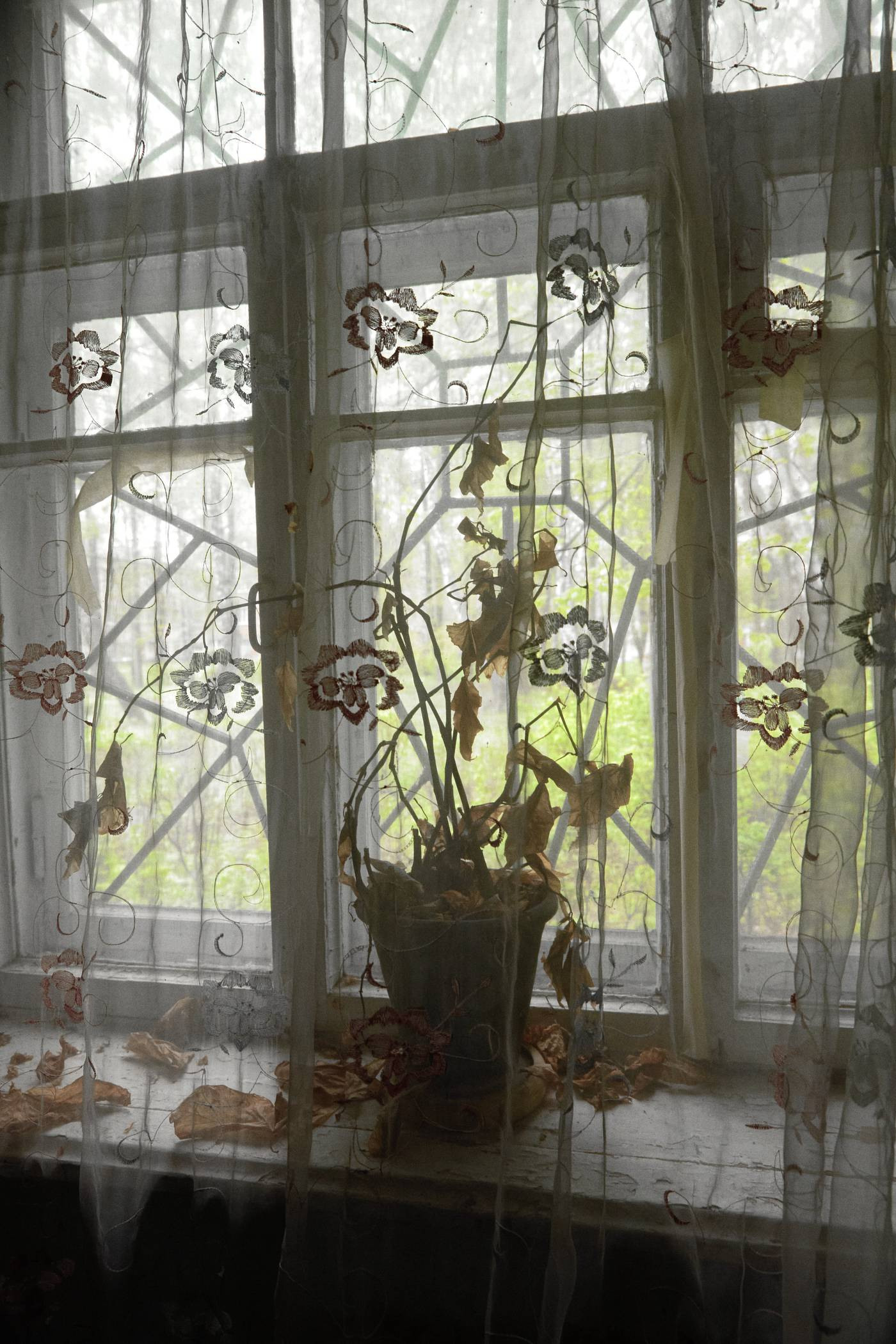 Окружение. Денис Паунин — Фотографии