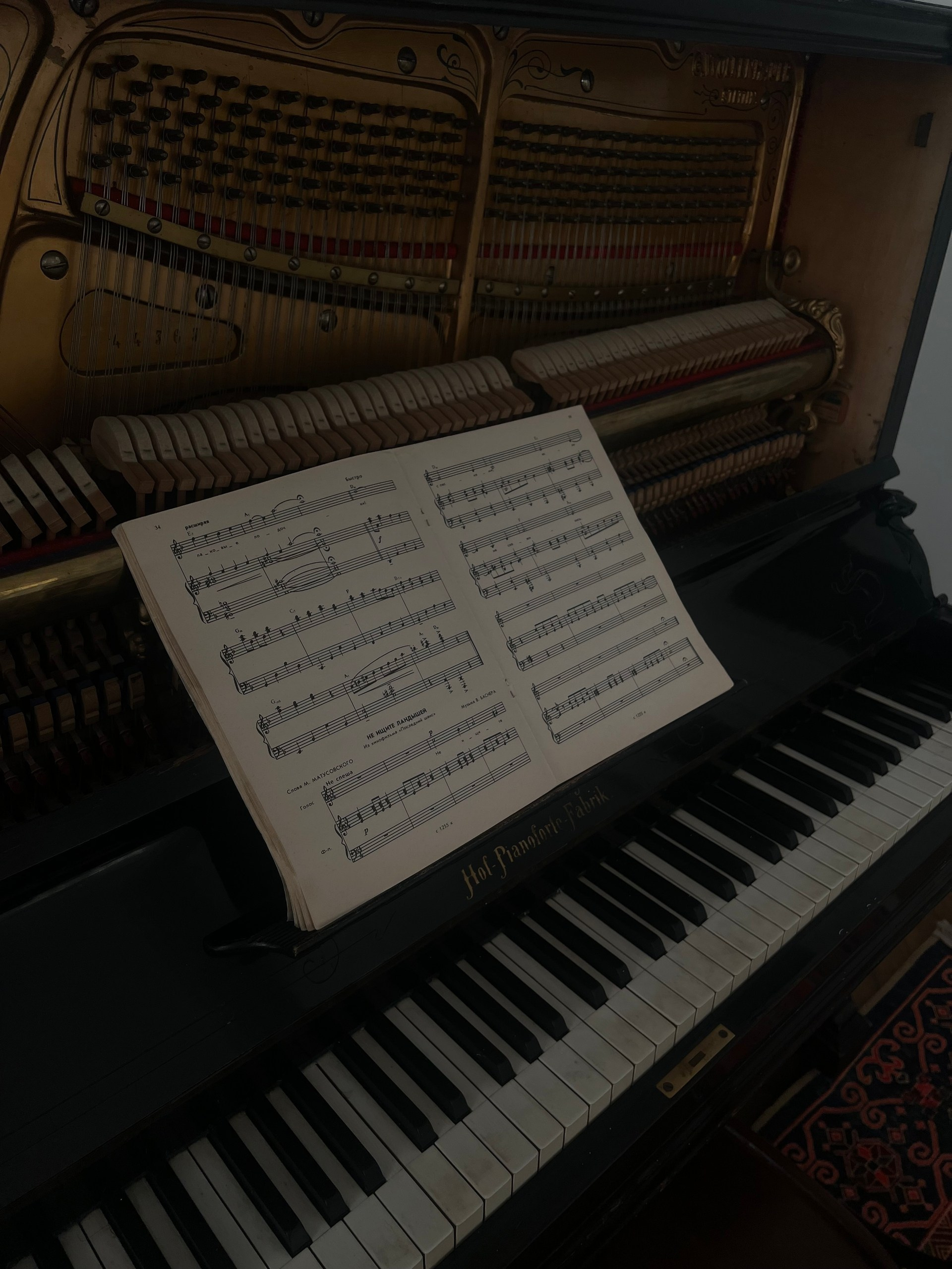 Студийная съёмка. Ваш фотограф Светлана Мицукова