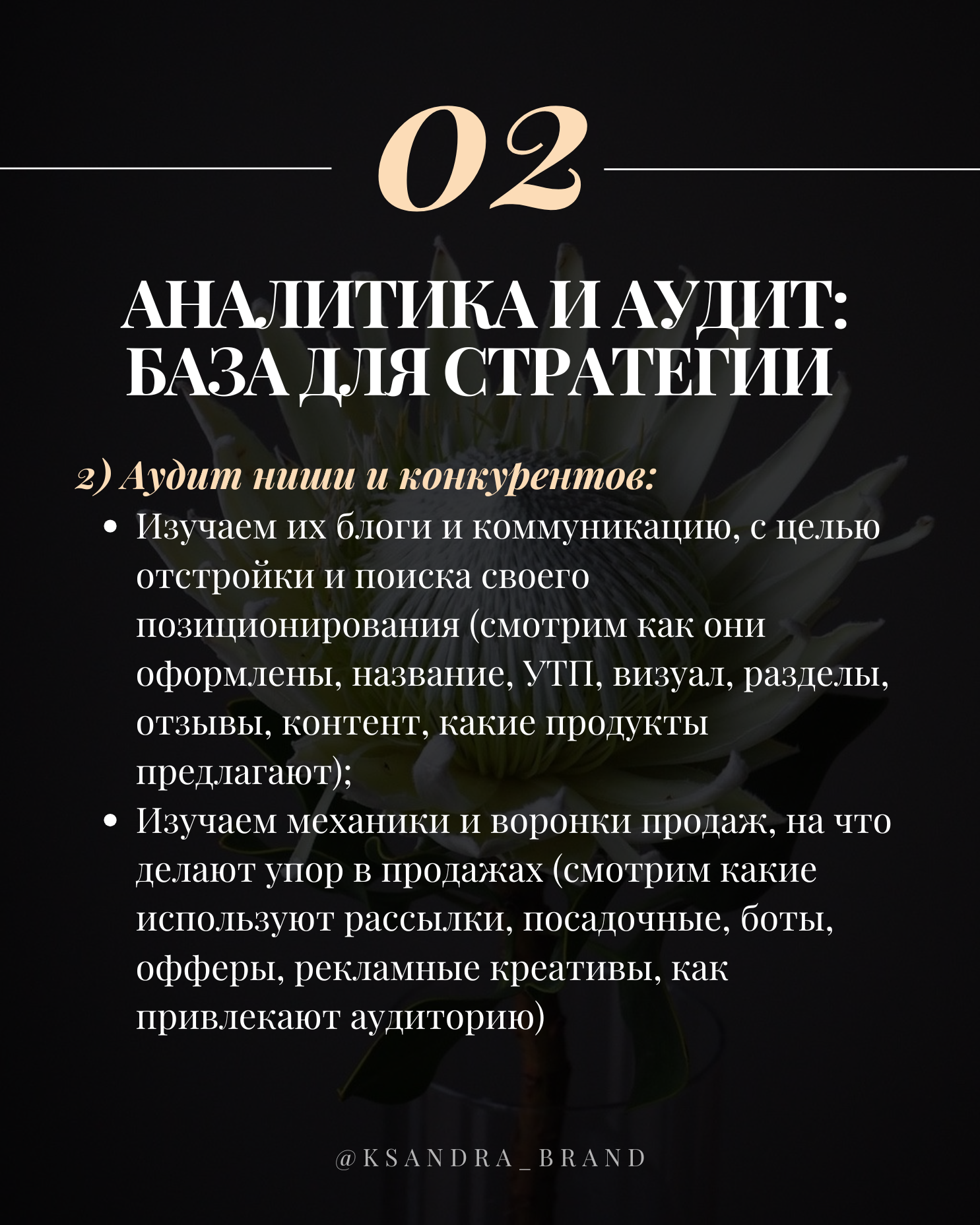 Практическое руководство: «Создание стратегии продвижения в соцсетях на 2025 год