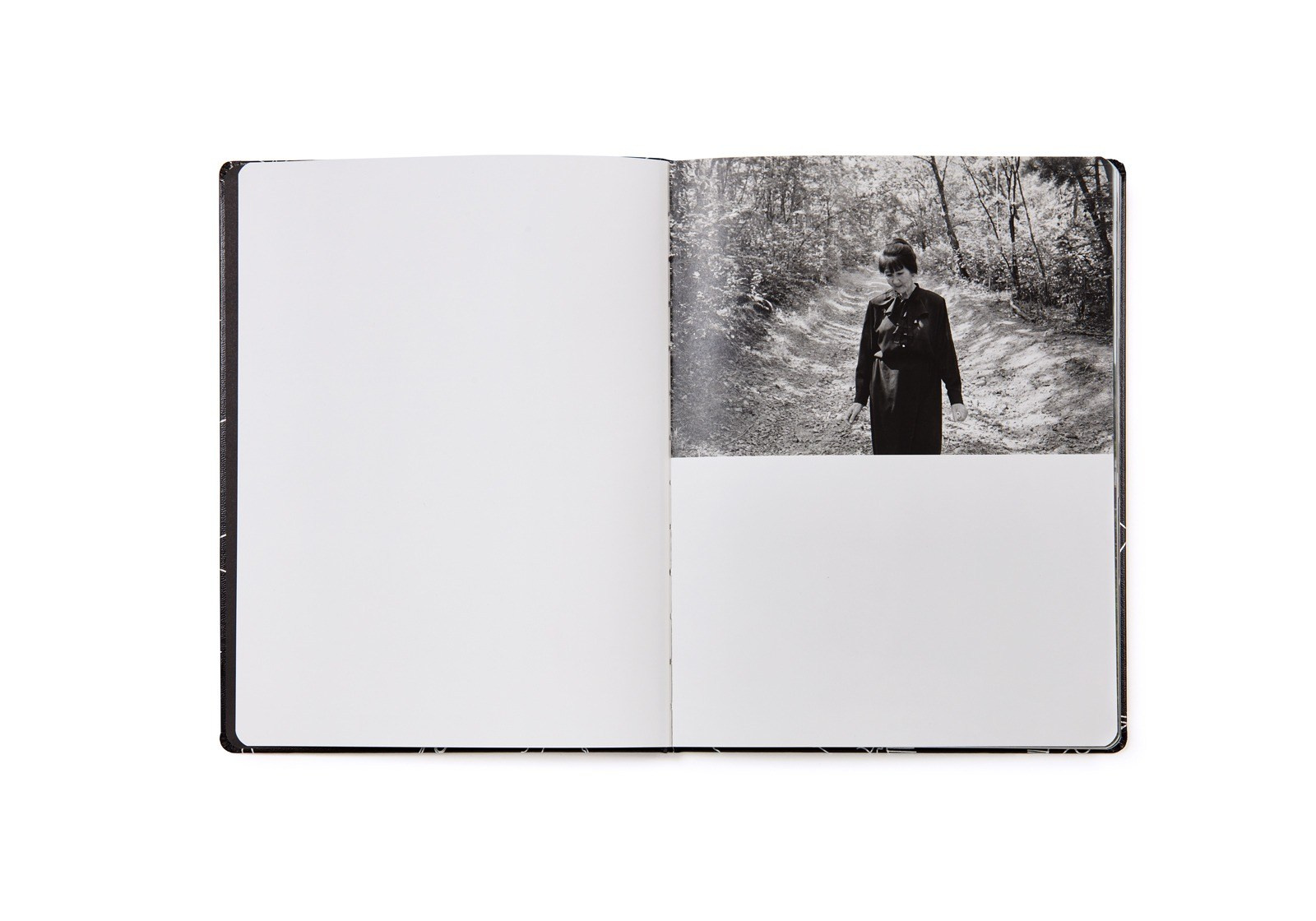 ПОПУЛЯРНЫЕ ОШИБКИ ПРИ СОЗДАНИИ ФОТОКНИГИ: Часть первая — про форму. Самоорганизация Низина