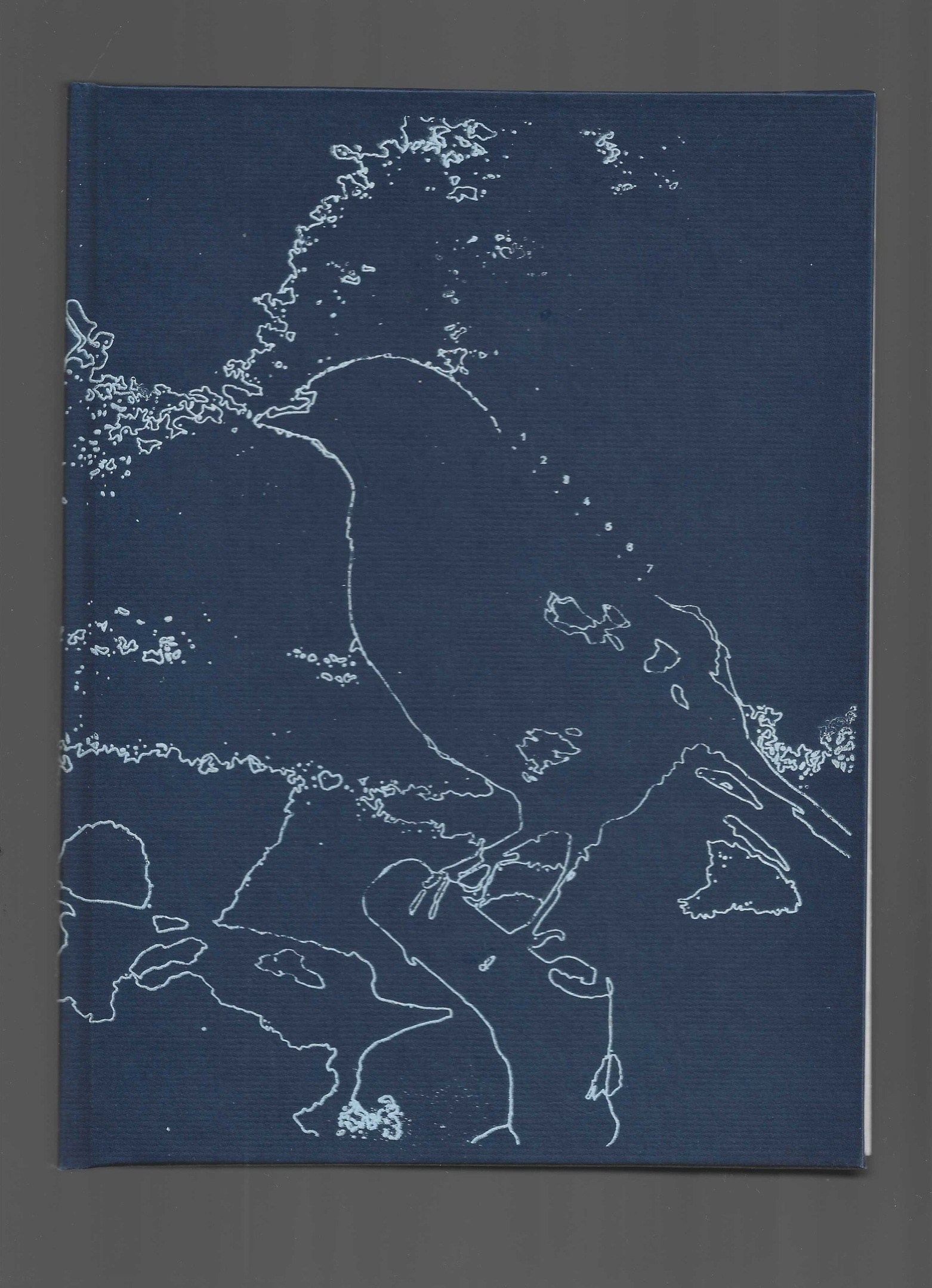 Фотокнига: Мария Пилькевич «Когда ты от нас уедешь, я буду жить в твоей комнате». Самоорганизация Низина