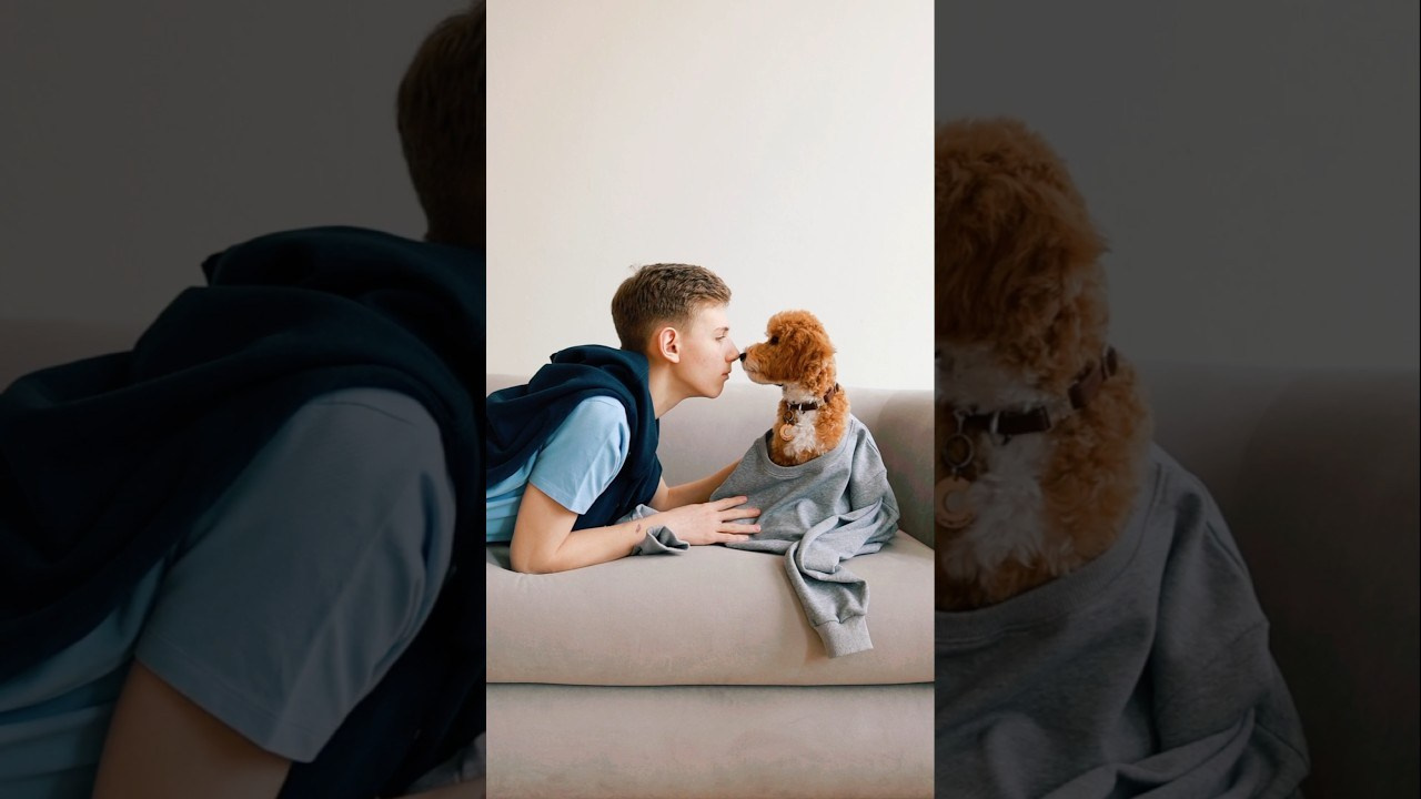 Видеоролики. Семейный Фотограф в Москве Евгения Симоненко