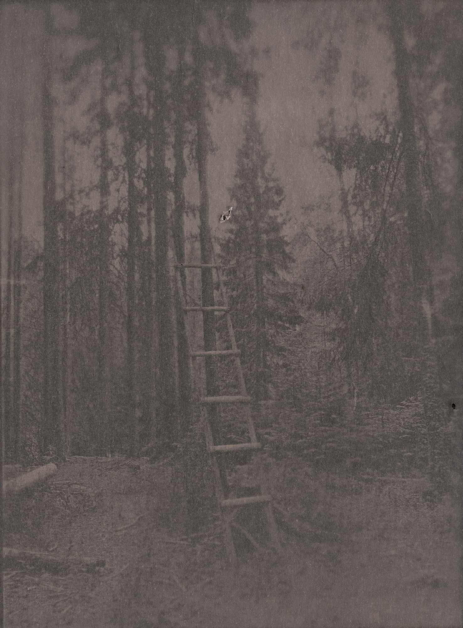 Вика Буковская — Помоги мне вернуться в места, которые всё ещё кажутся знакомыми