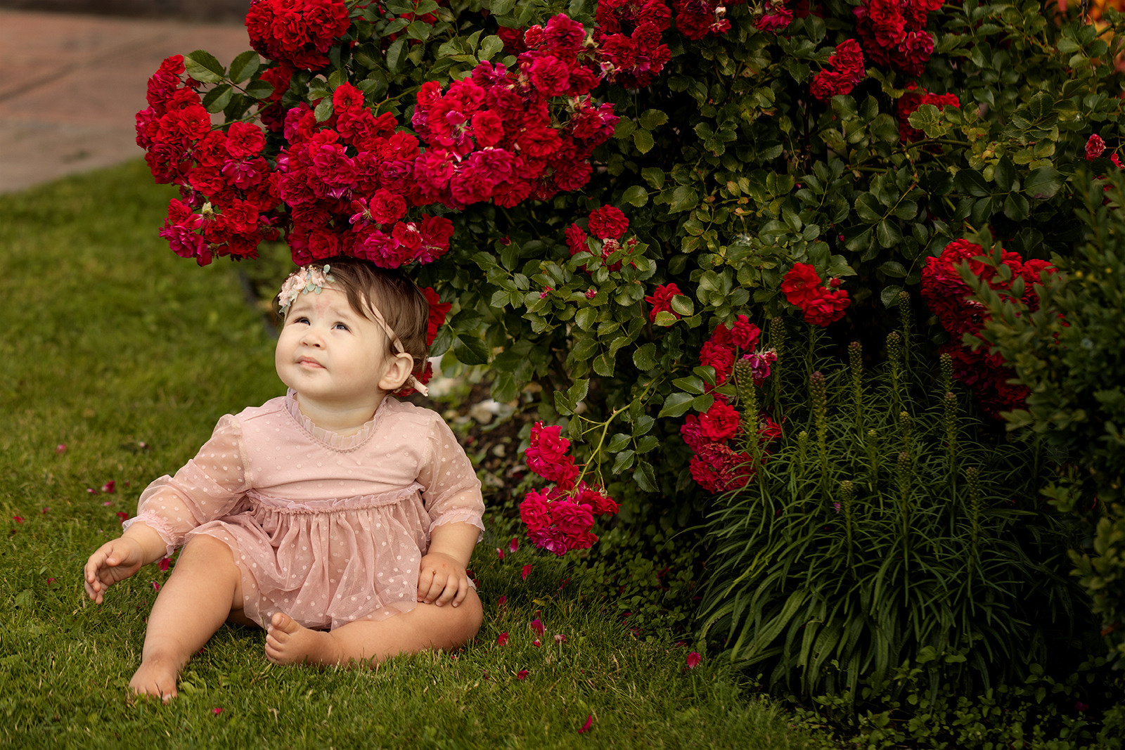 Малыши. Главная