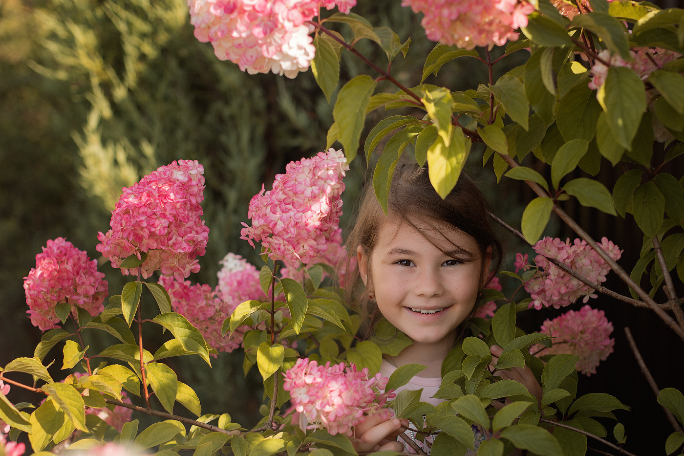 Дети старше 3 лет. Главная