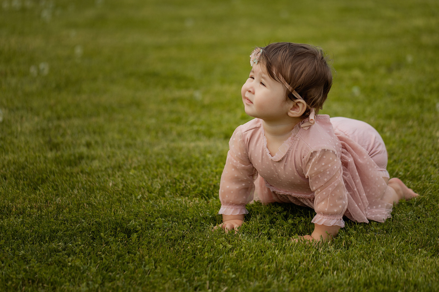 Малыши. Главная