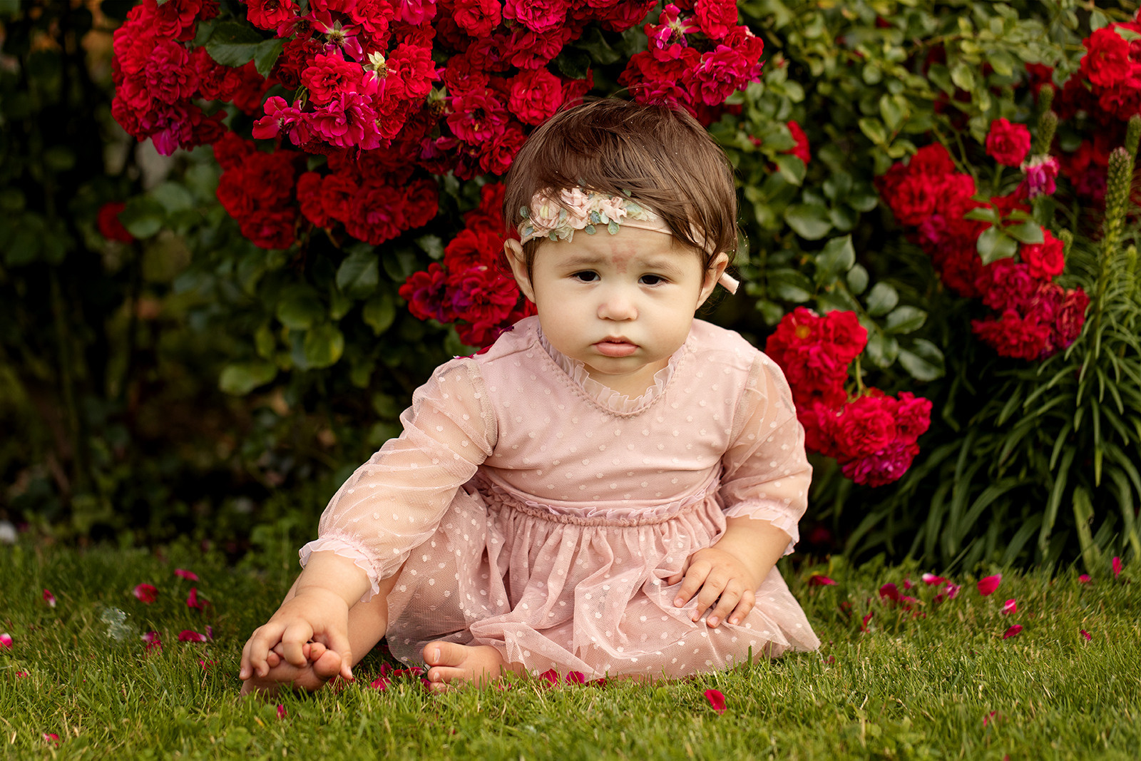 Малыши. Главная