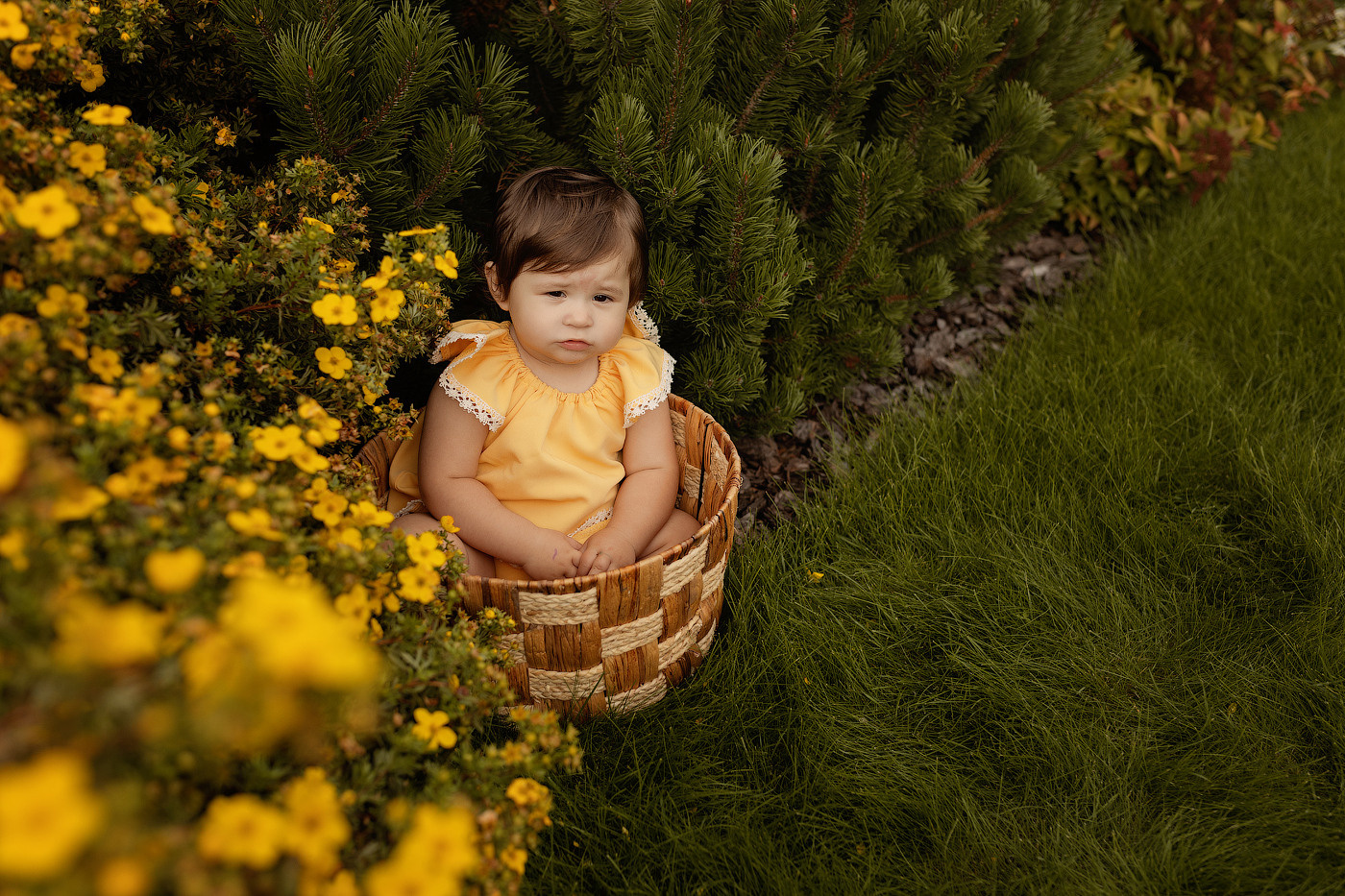 Малыши. Главная