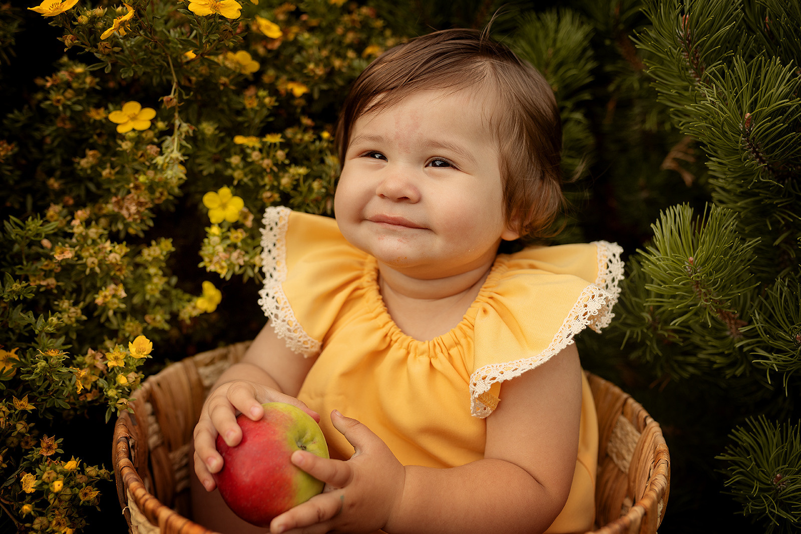 Малыши. Главная