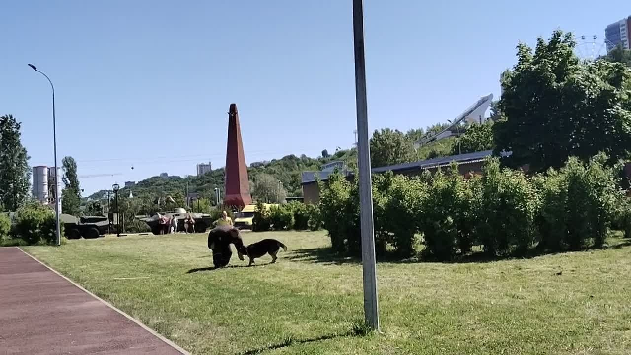 День Пограничника и День Пограничной кинологии. НРОО КЦ "Собаковод"