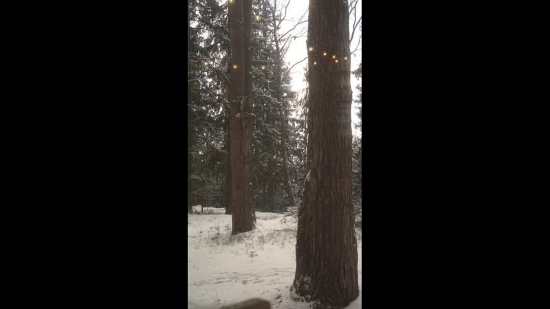ВидеоИстории. Семейный и детский фотограф в Сергиев Посаде, Хотьково Якимчук Любовь
