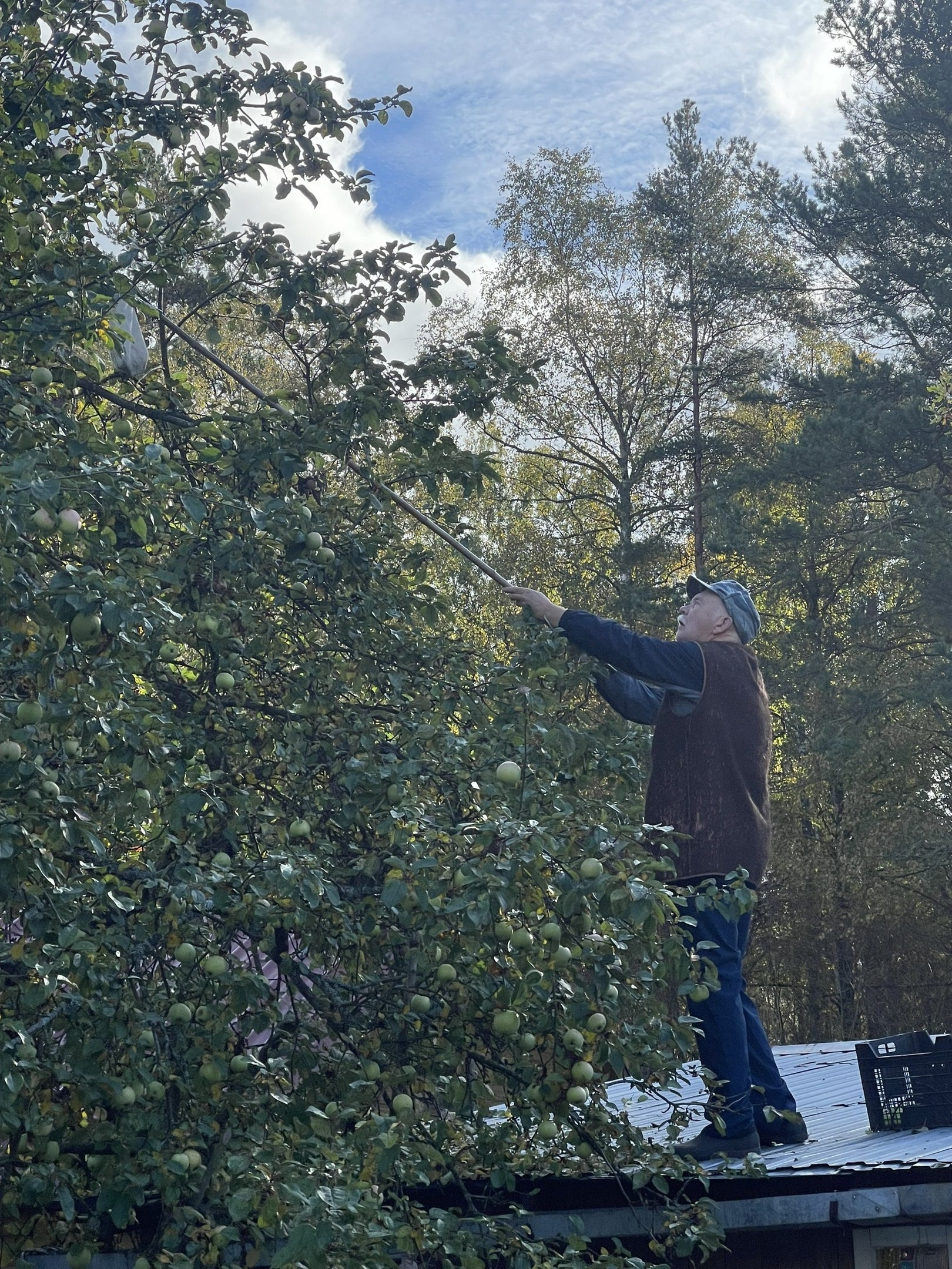 Мусихин Михаил Аркадьевич — сайт памяти о добром и светлом человеке