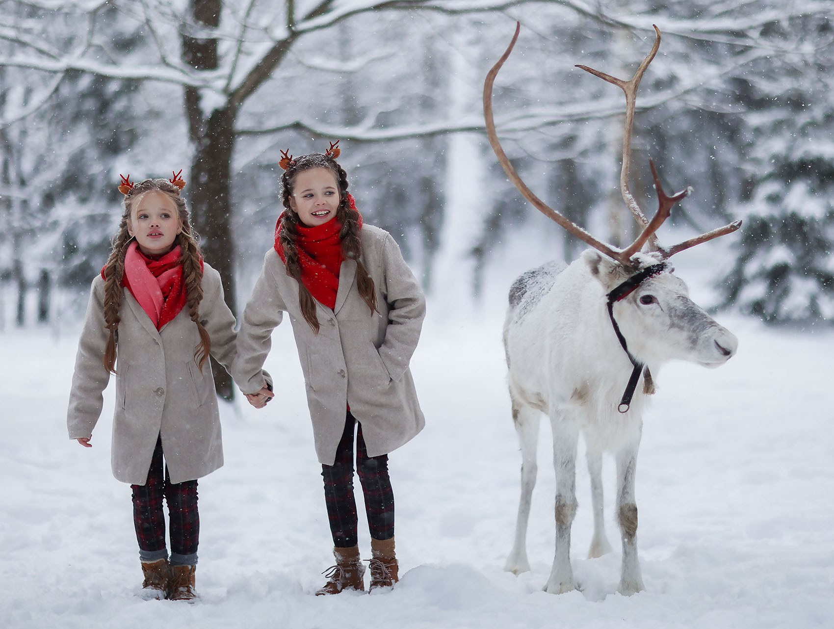 Лесная студия нимфа. Детский и семейный фотограф в Москве Юлия Стукалова