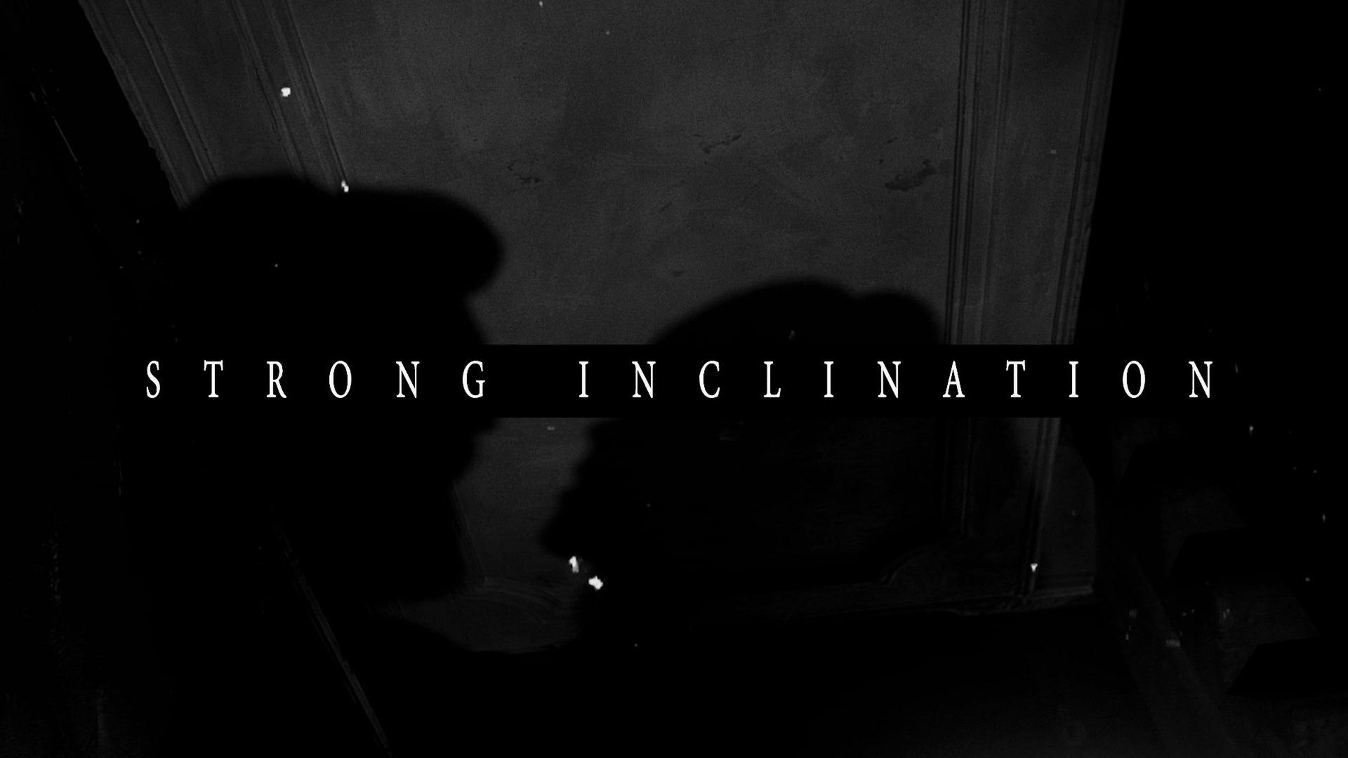 Видеограф Каменецкий Константин