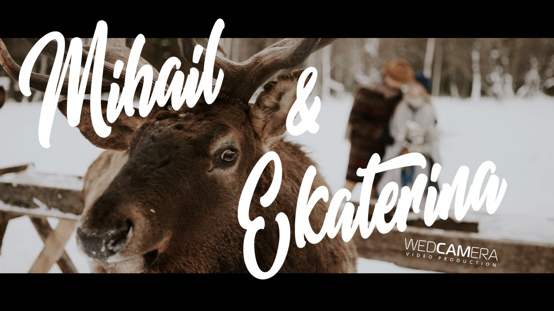 Видеограф Каменецкий Константин