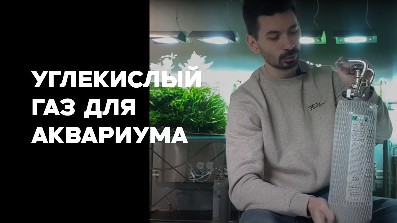 Видео. Аквариумист Максим Ерёмин