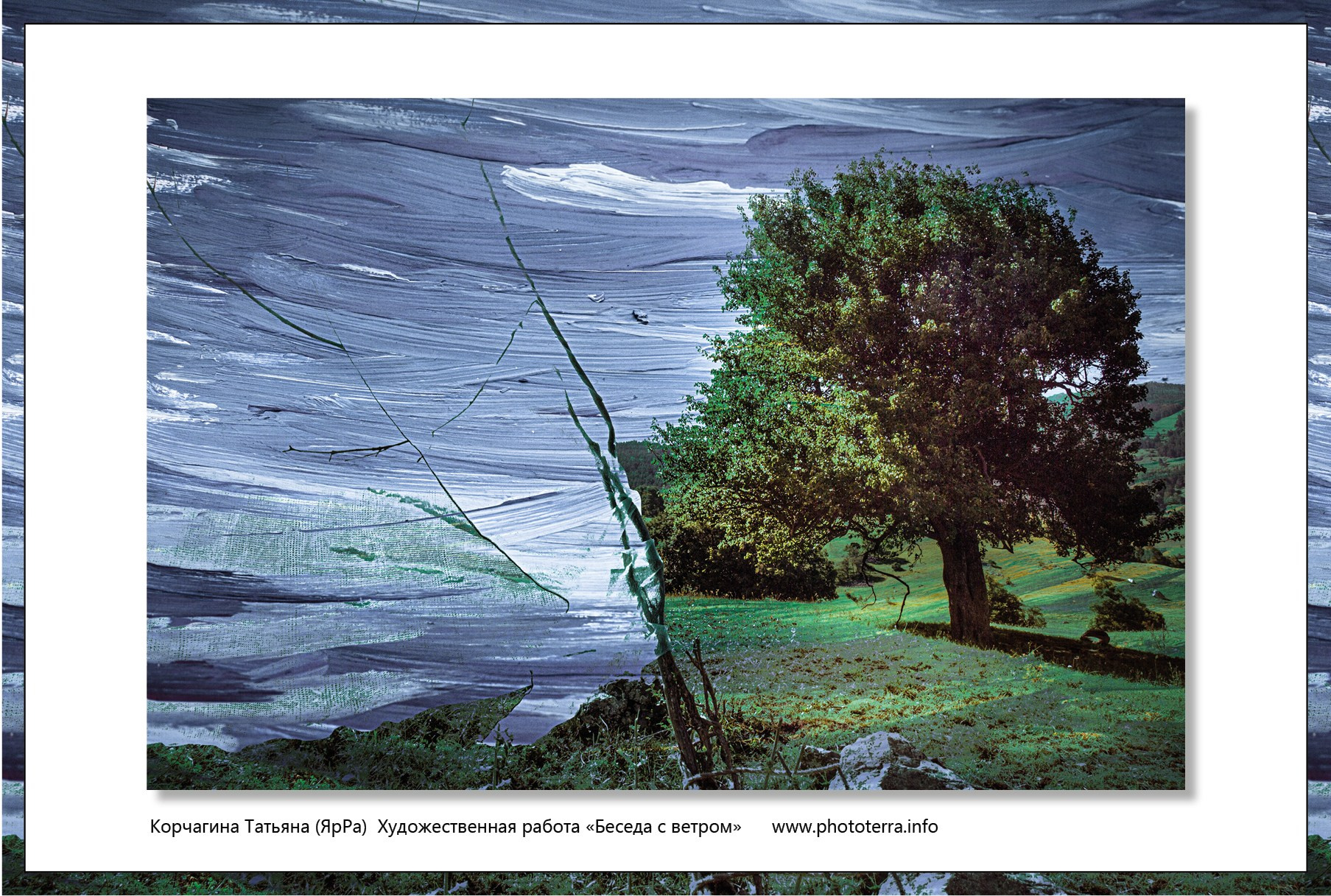 Арт & поэзия. Татьяна Корчагина. Фотограф, художник. Обучение фотографии