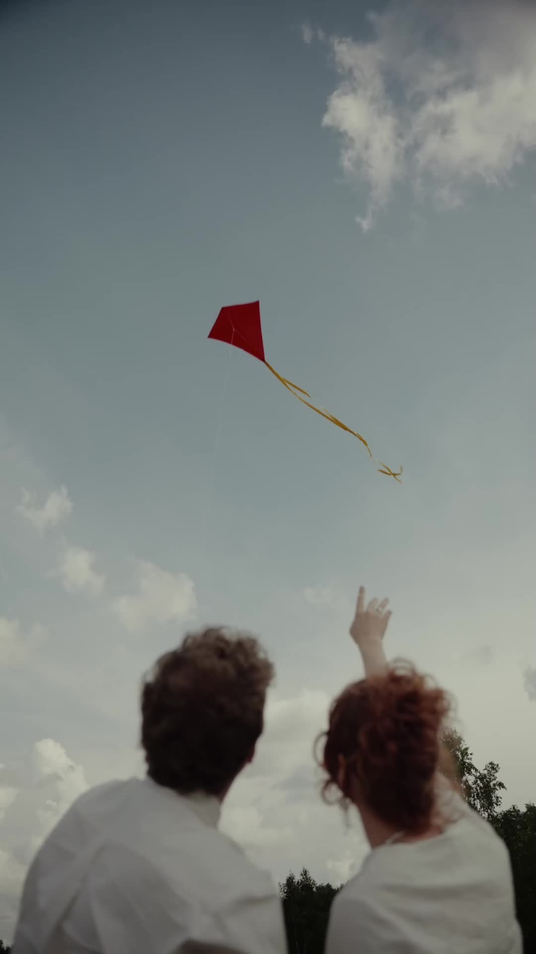 Видеограф Шелухин. Подрядчики и друзья сети свадебных площадок House for wedding