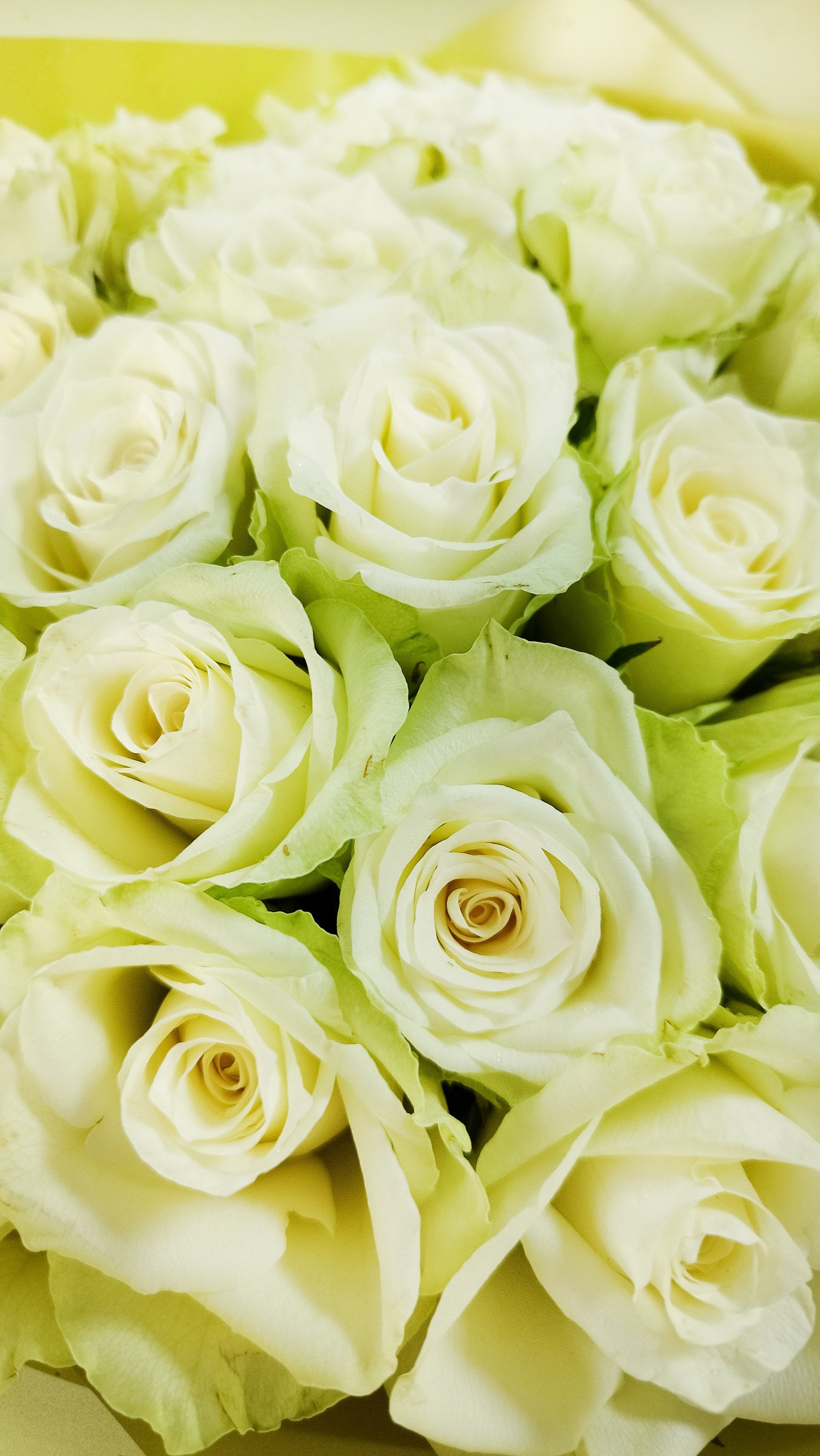 Студия PegasArt создаст незабываемый праздник для Вас, и ваших гостей!. Арт-вечеринки и мастер-классы в Москве для взрослых и детей