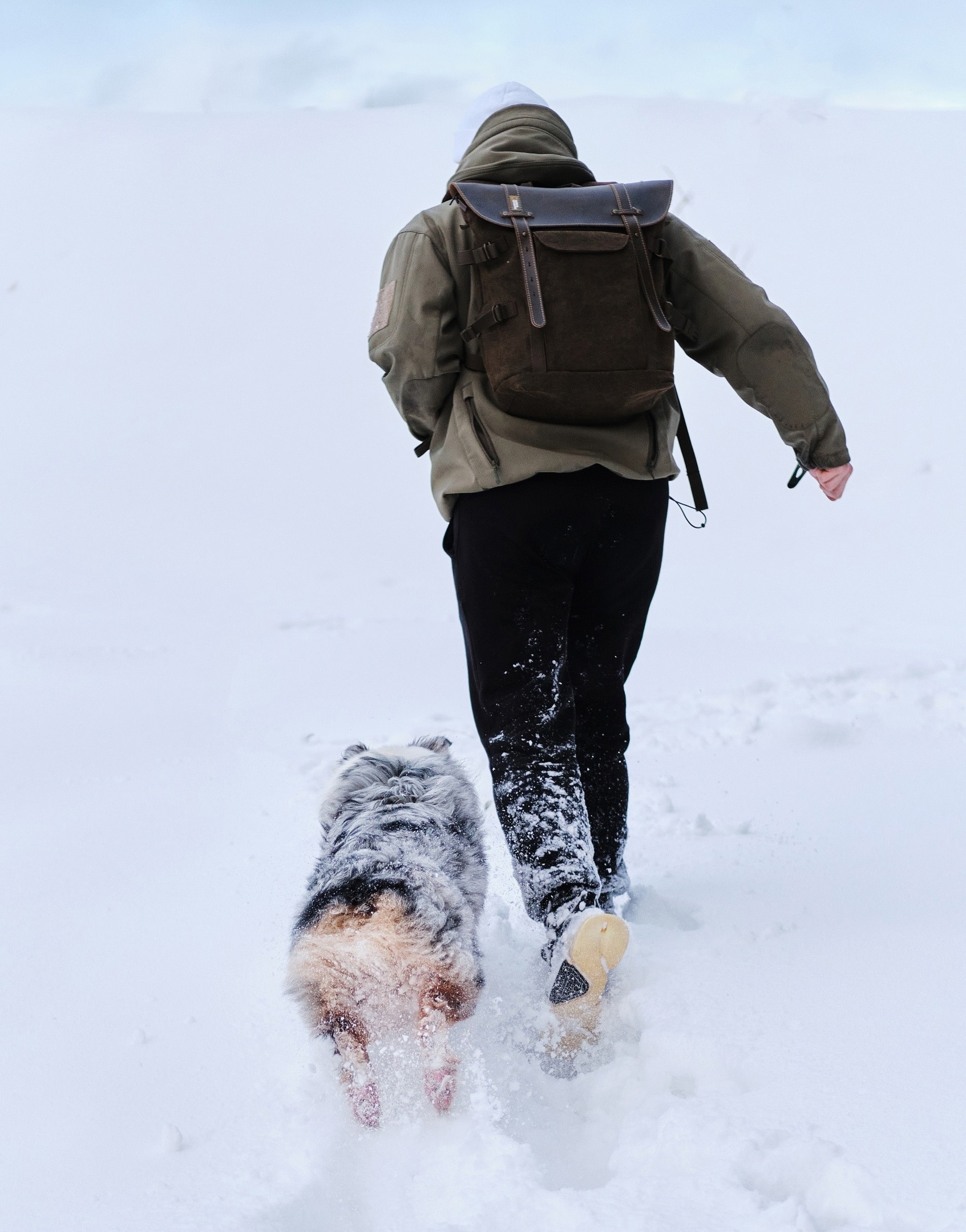 Фотограф животных в Москве и Московской области. Профессиональный фотограф в Москве — Максим Дьяконов