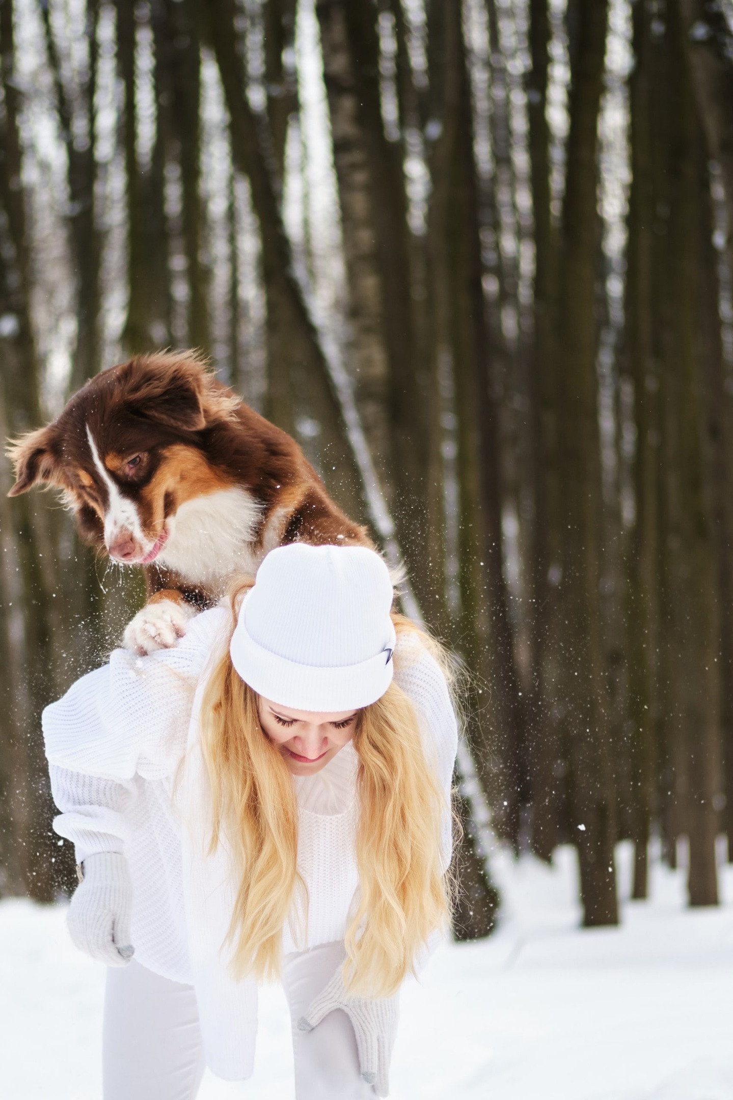 Фотограф животных в Москве и Московской области. Профессиональный фотограф в Москве — Максим Дьяконов
