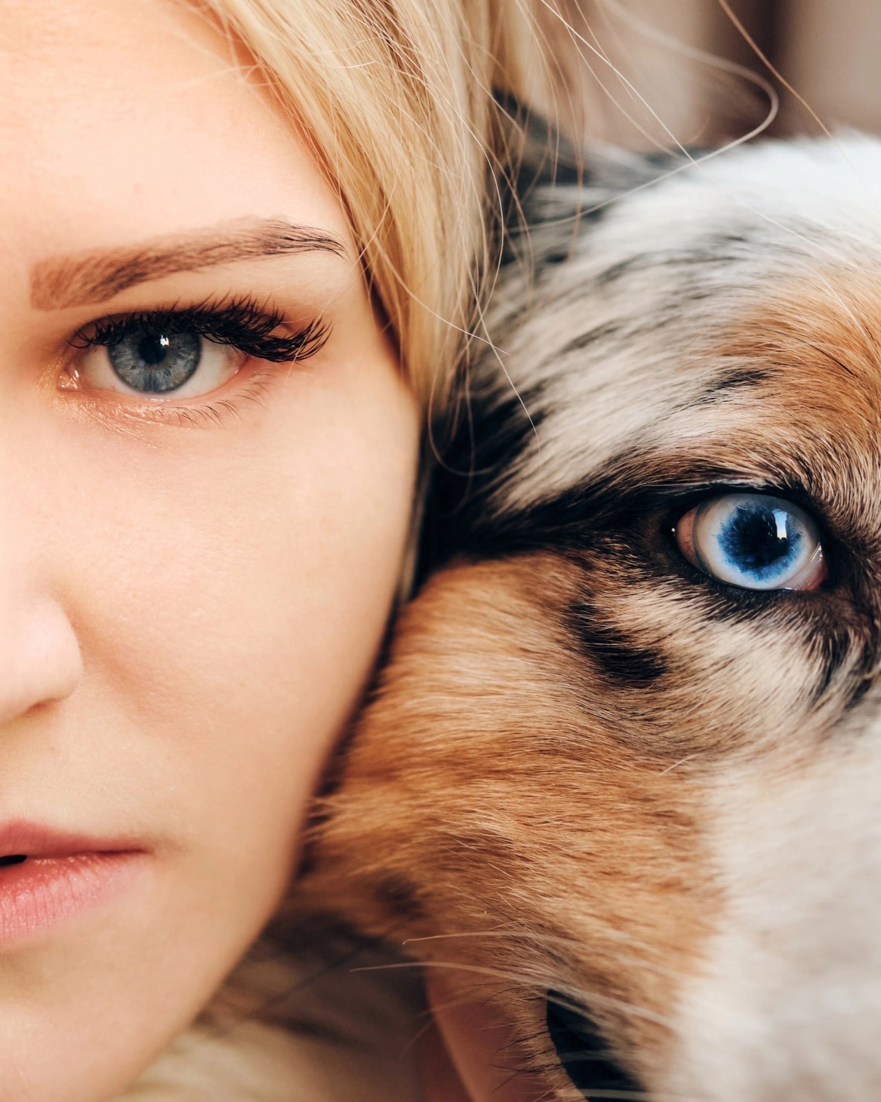 Фотограф животных в Москве и Московской области. Профессиональный фотограф в Москве — Максим Дьяконов