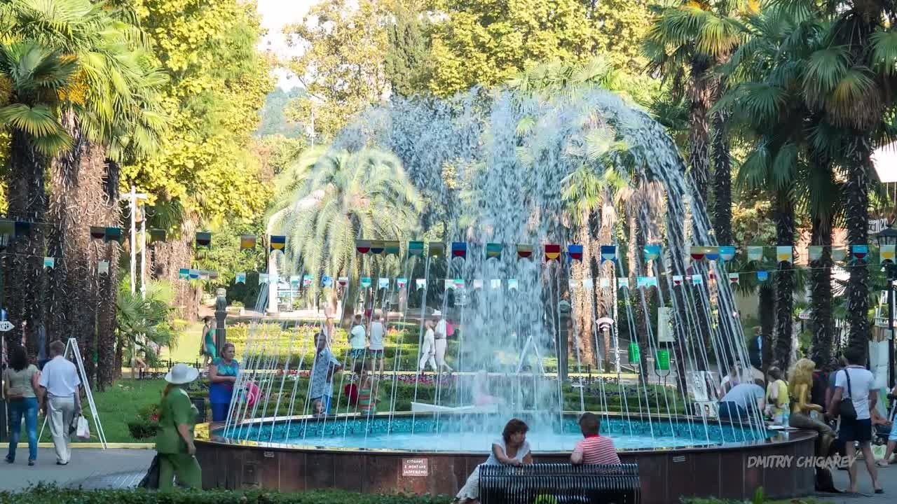 Видеосъёмка в Сочи. Фотограф и видеограф в Сочи Дмитрий Чигарев