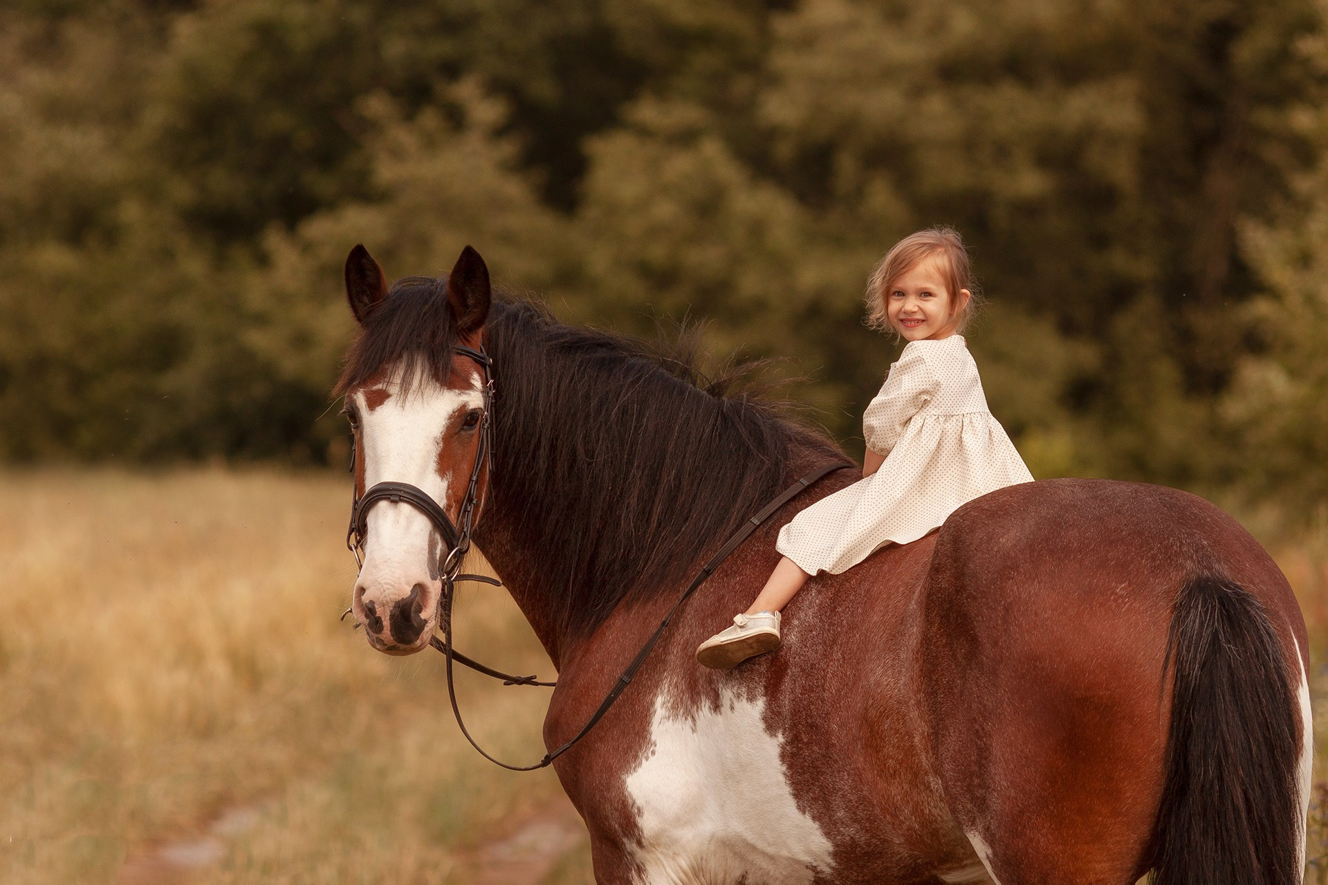 Клейдесдаль, фотосессия ребенок и лошадь