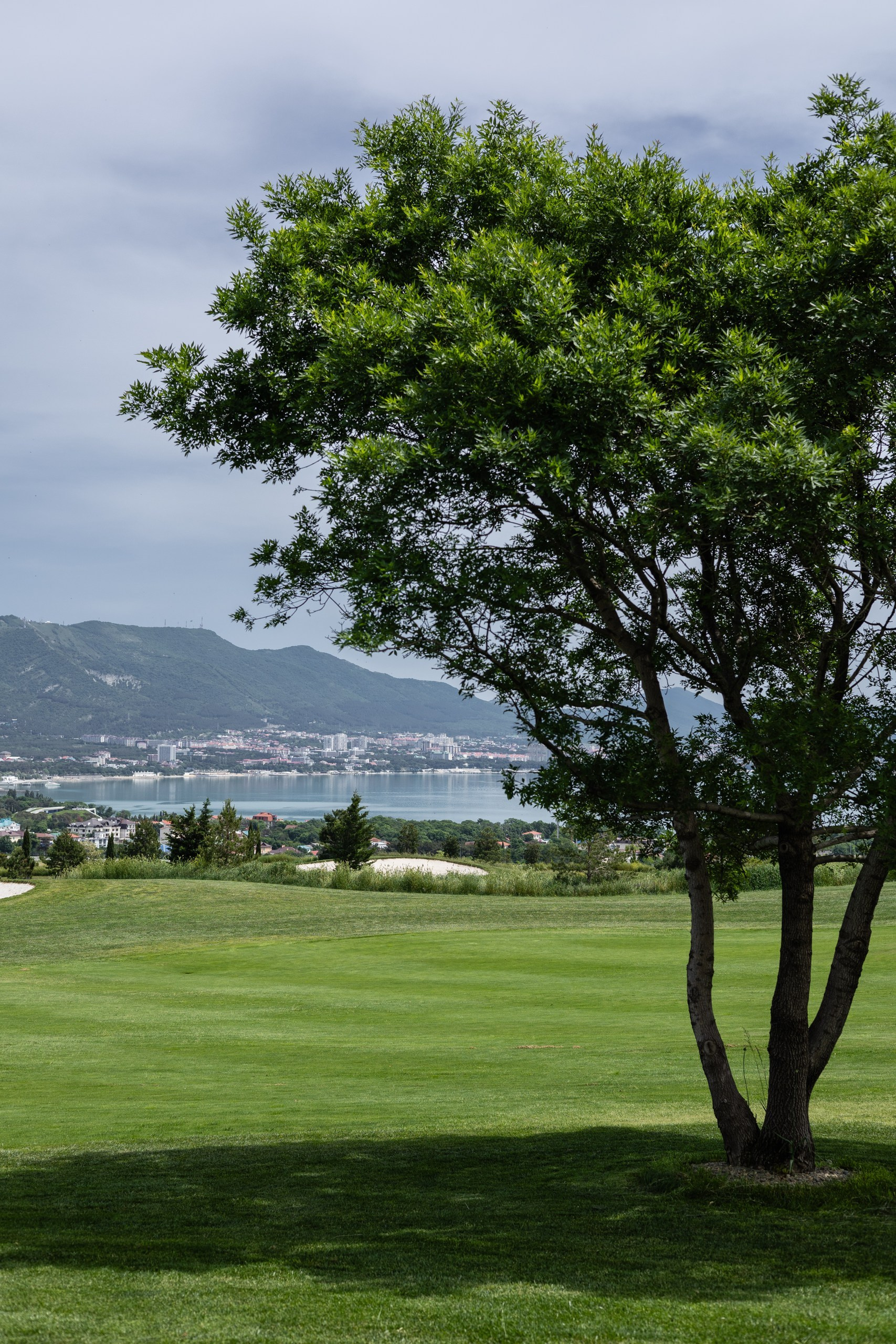 Worldwide Wedding Photography Demskoy Studio