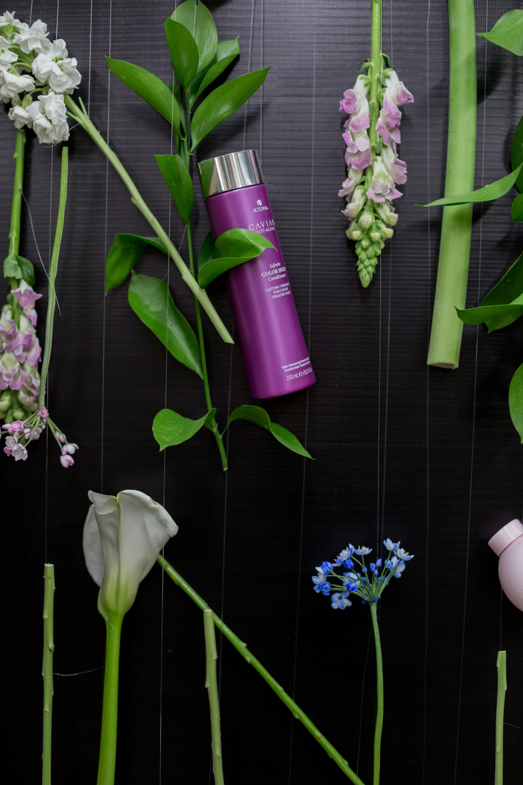 Authentica club party