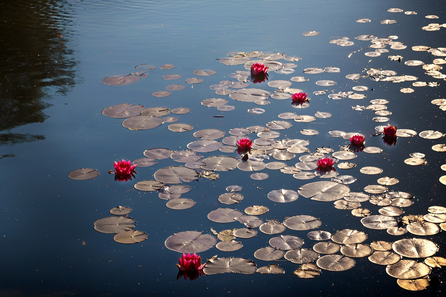 Фотограф Ольга Дунаева