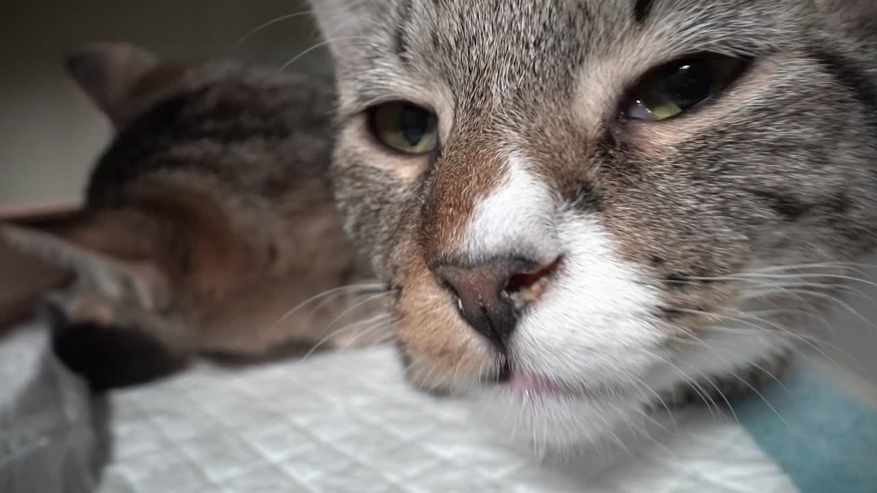 Профессиональный фотограф мотоциклов, автомобилей, яхт, катеров. Павел Степанов фотограф, видеограф — Москва — Санкт-Петербург