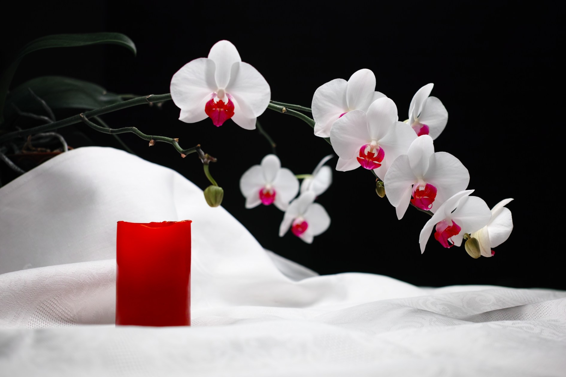 КАМЕНЬ. Artkapella|Олег Кузнецов