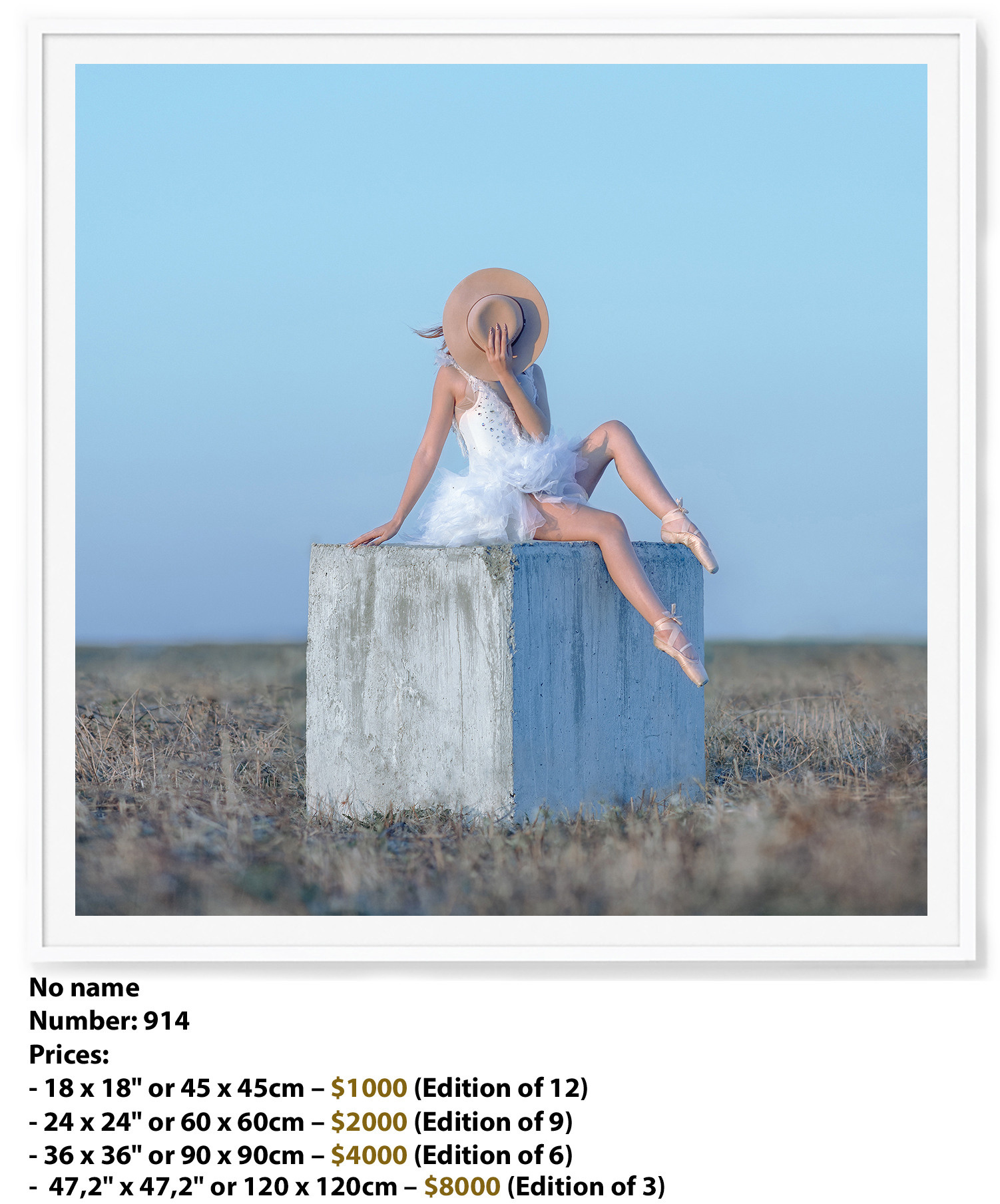 Premium edition fine art prints | Премиальный тираж