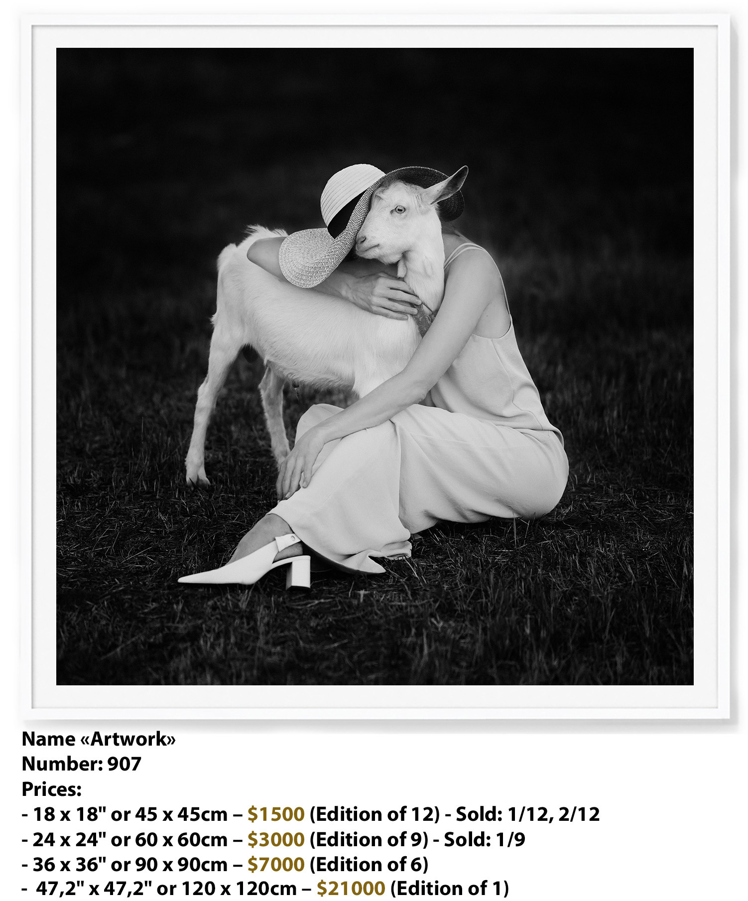 Premium edition fine art prints | Премиальный тираж